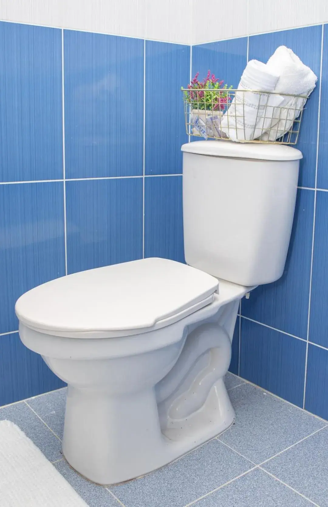 Hotel Alcazar Hotel Alcazar