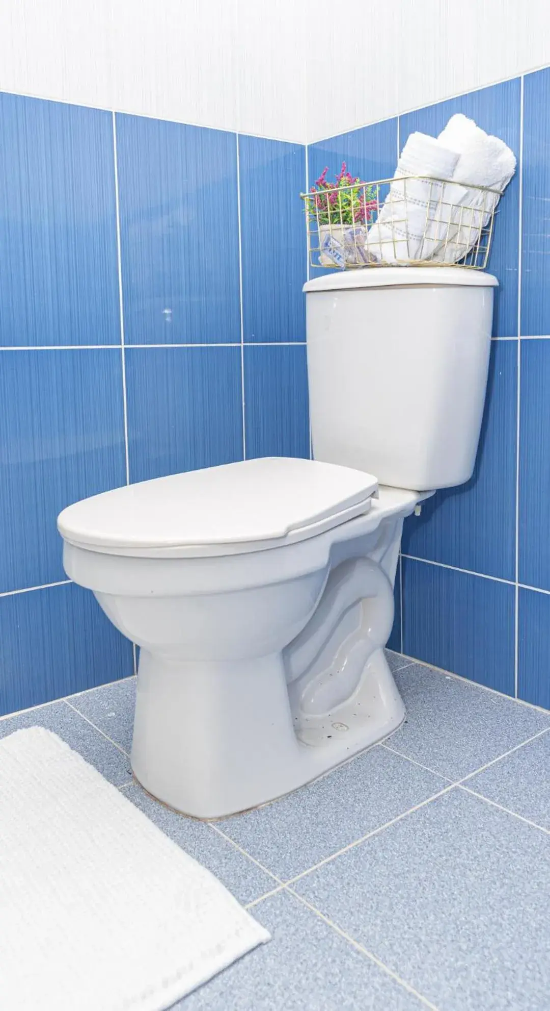 Hotel Alcazar Hotel Alcazar