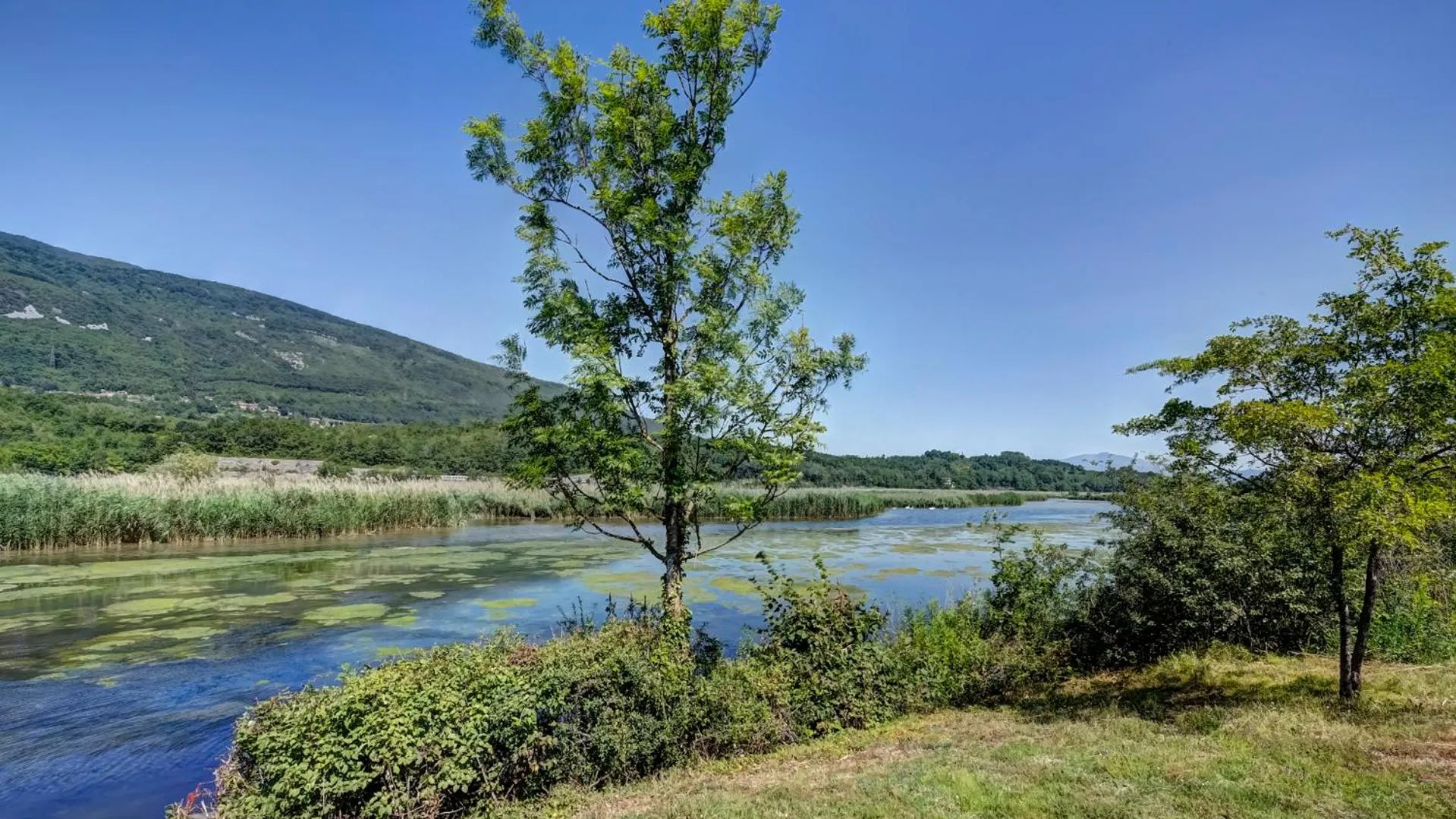 Natural landscape in Vacancéole - Le Village des Oiseaux