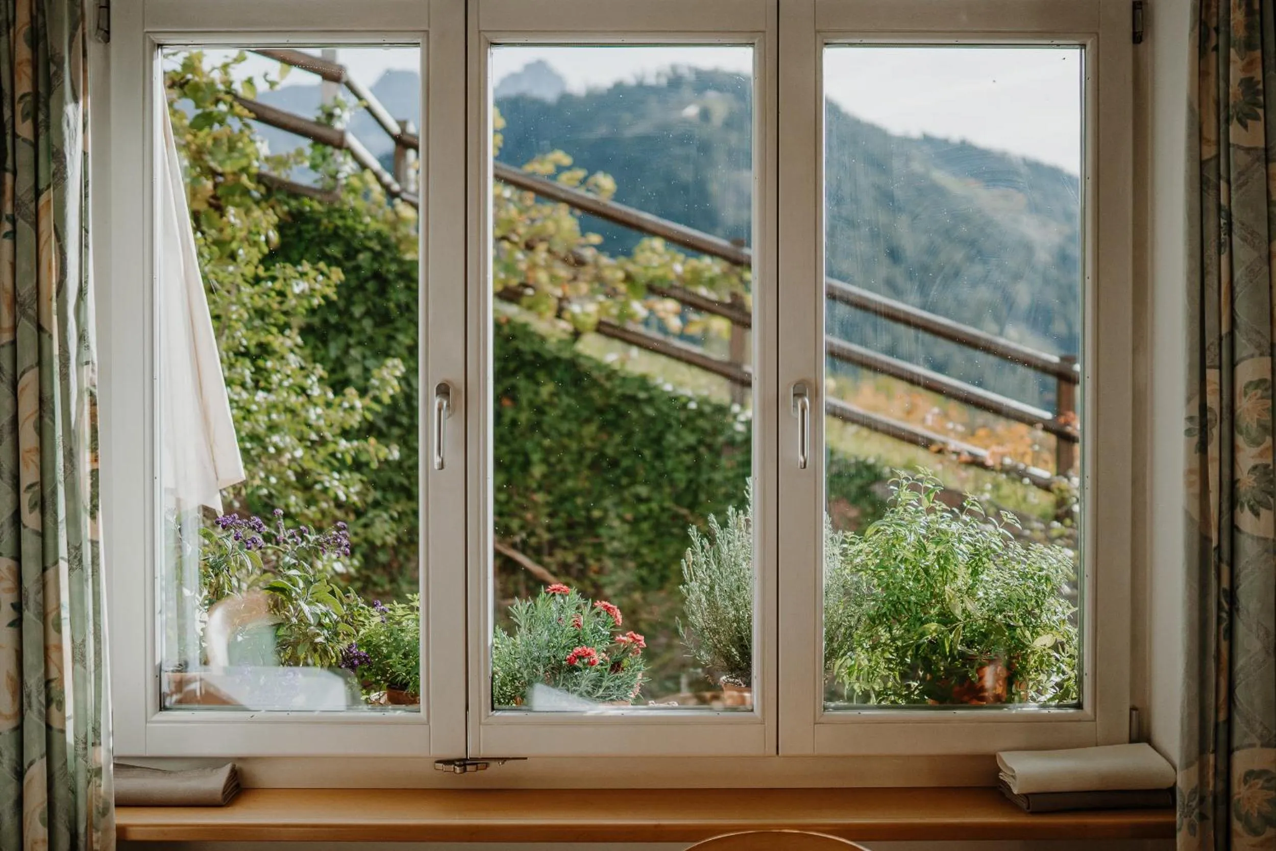 Garden in Hotel Berghaus Rosengarten