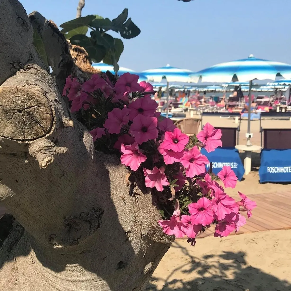 Beach in Hotel Piccadilly