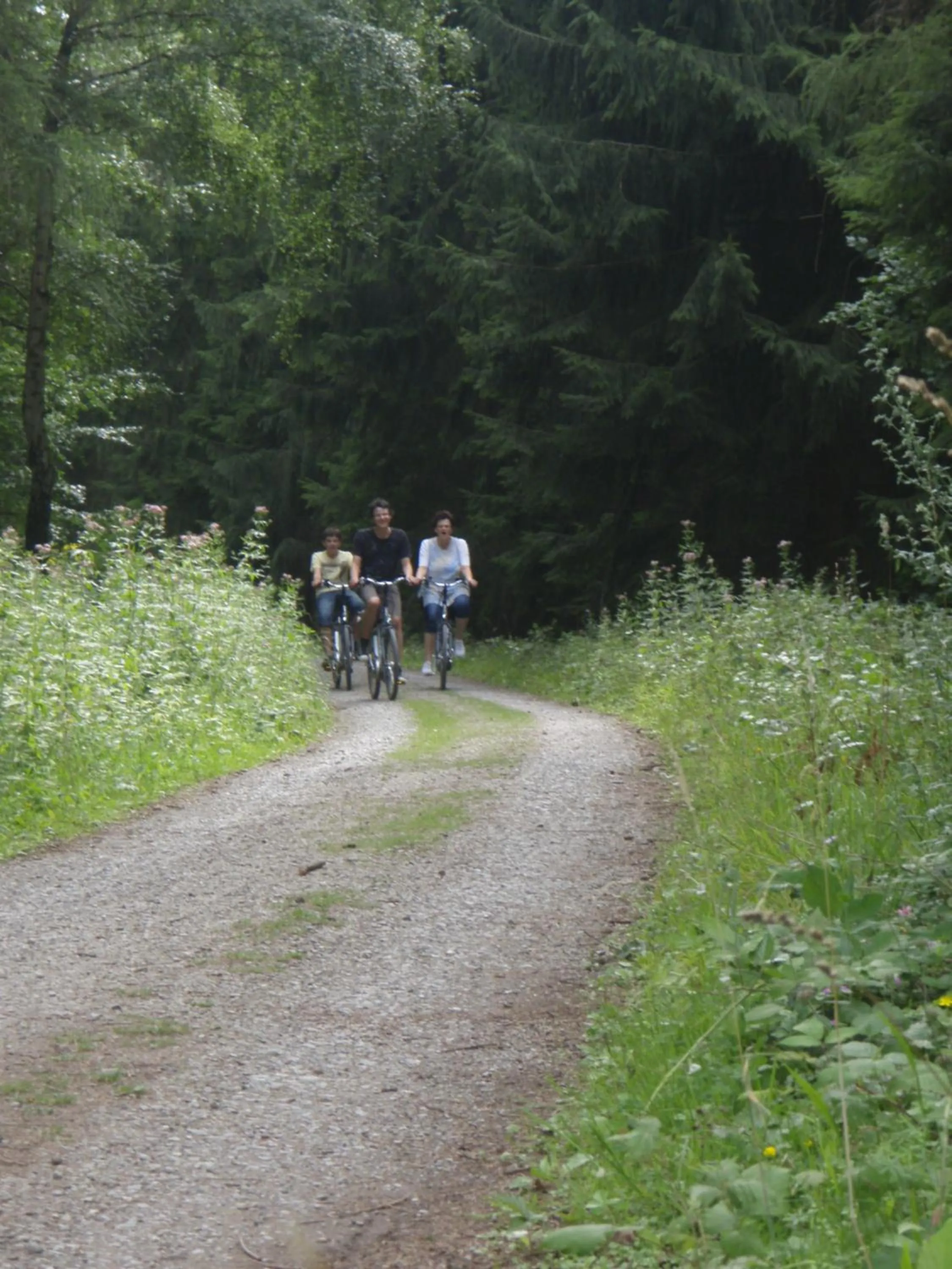 Cycling in Hotel Haus Seeblick