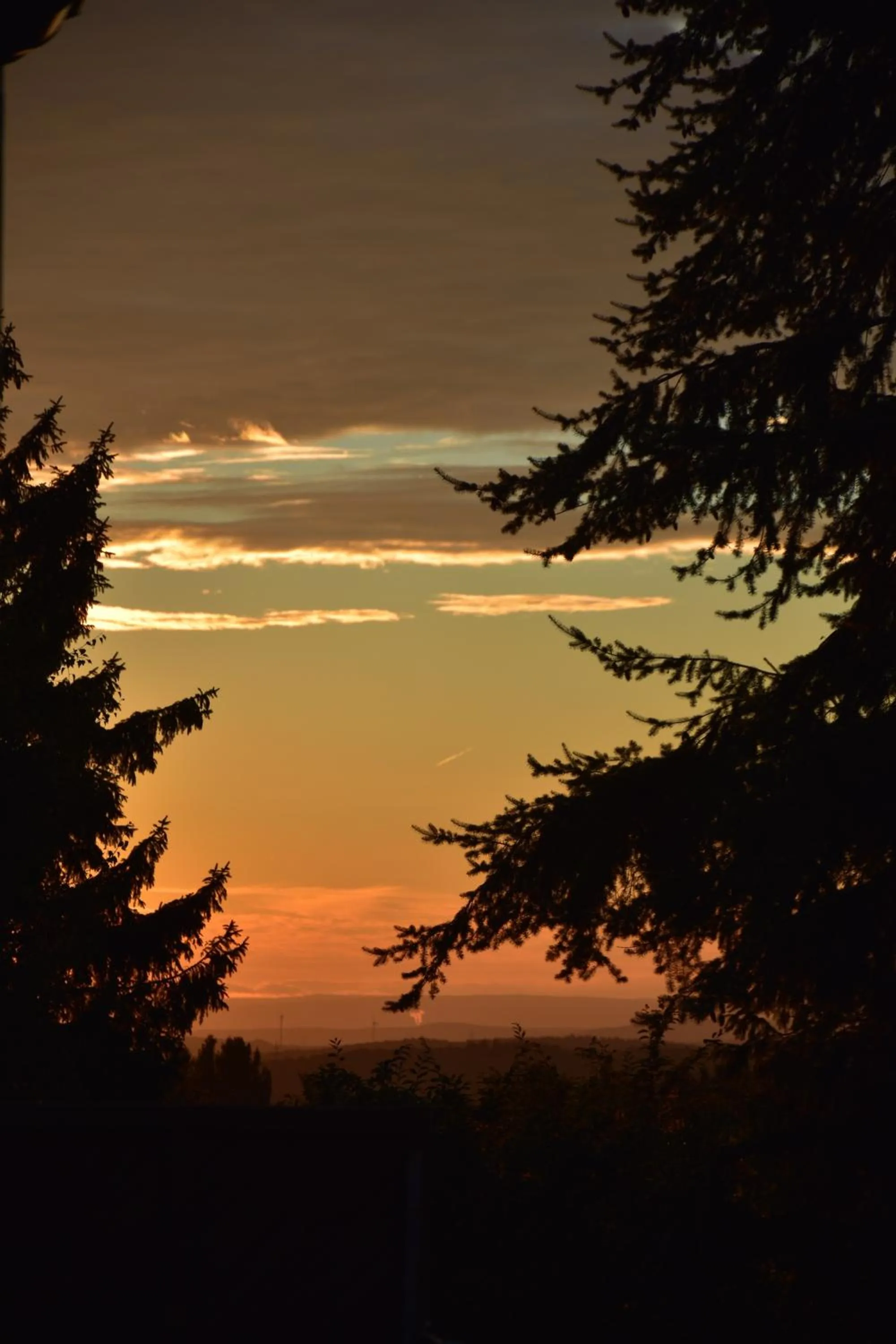 Natural landscape in Hotel Haus Seeblick