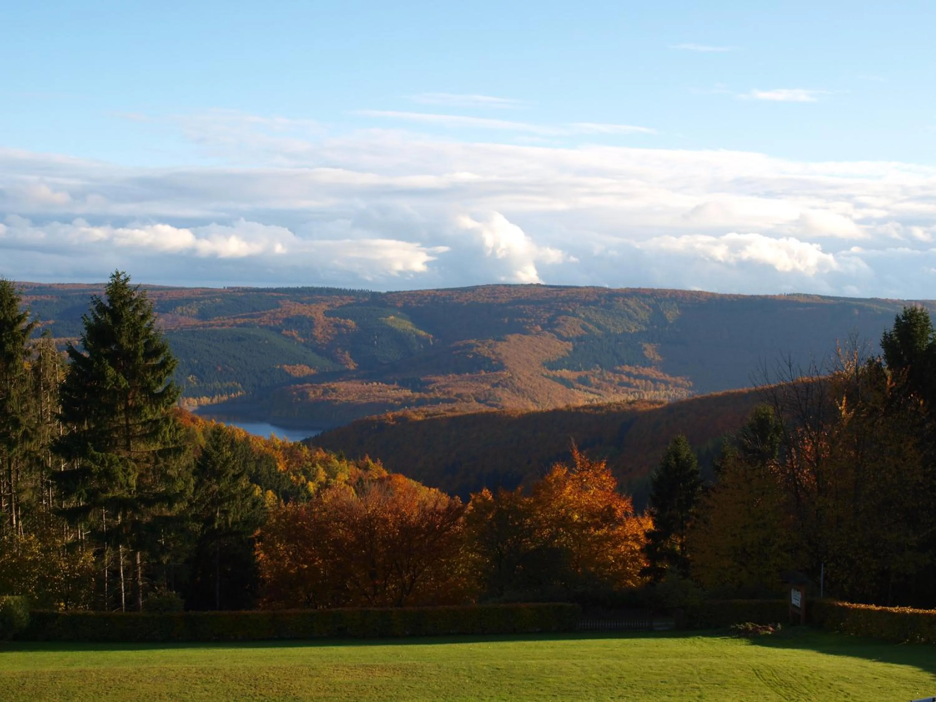 Garden view in Hotel Haus Seeblick