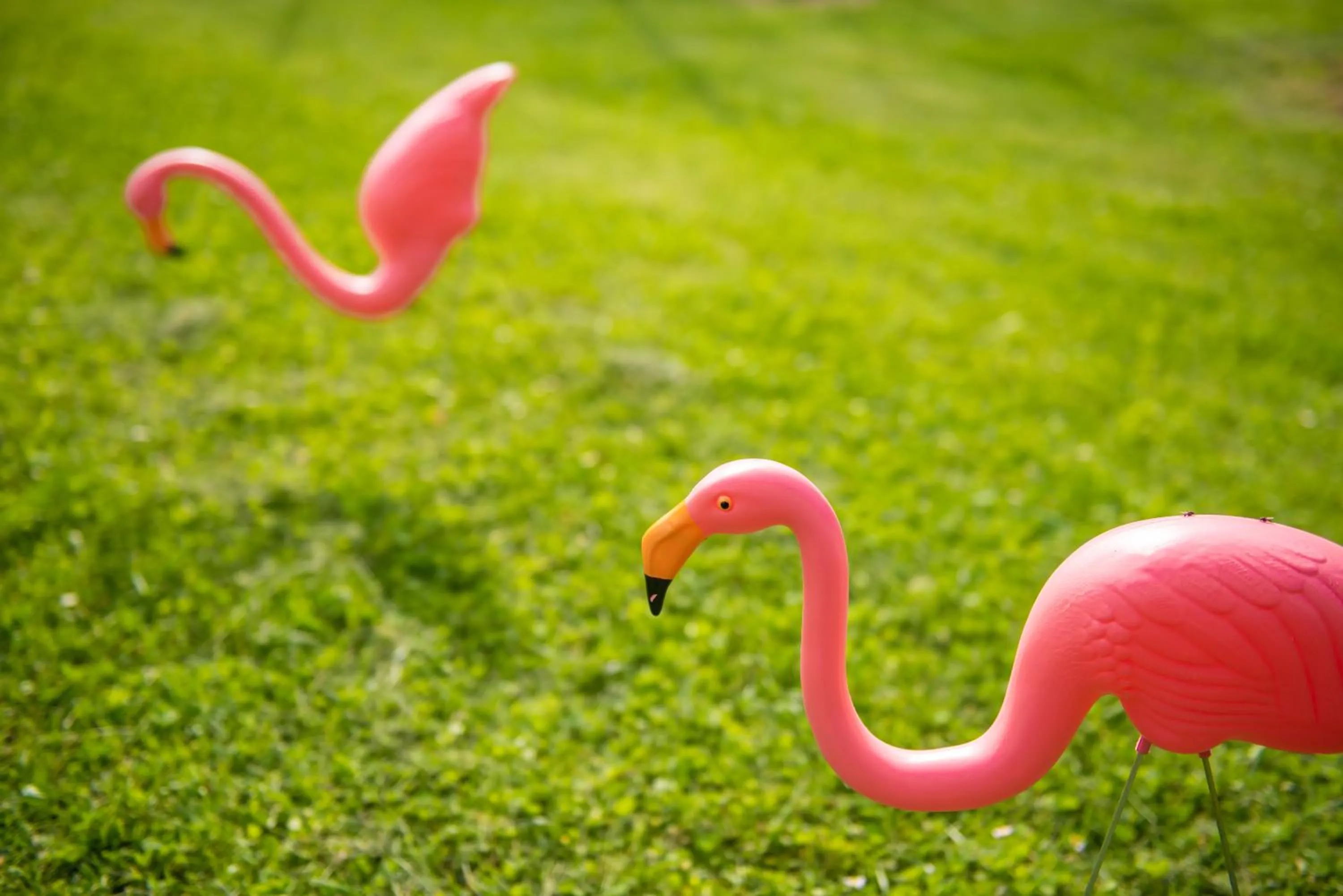 Complex Rural Can Caubet