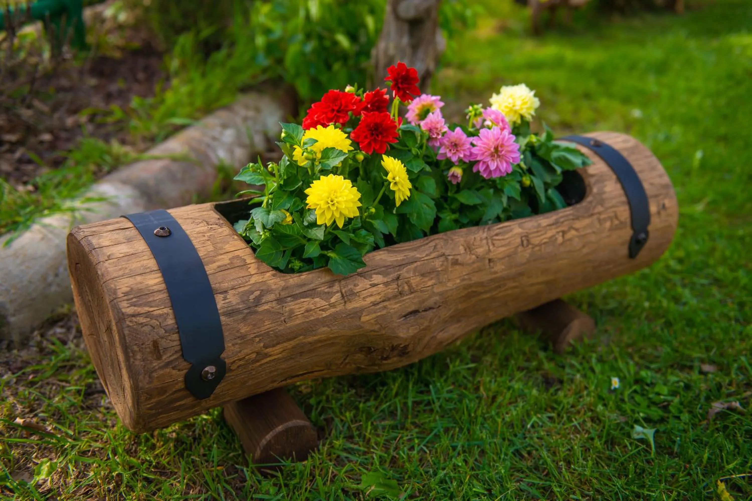 Complex Rural Can Caubet