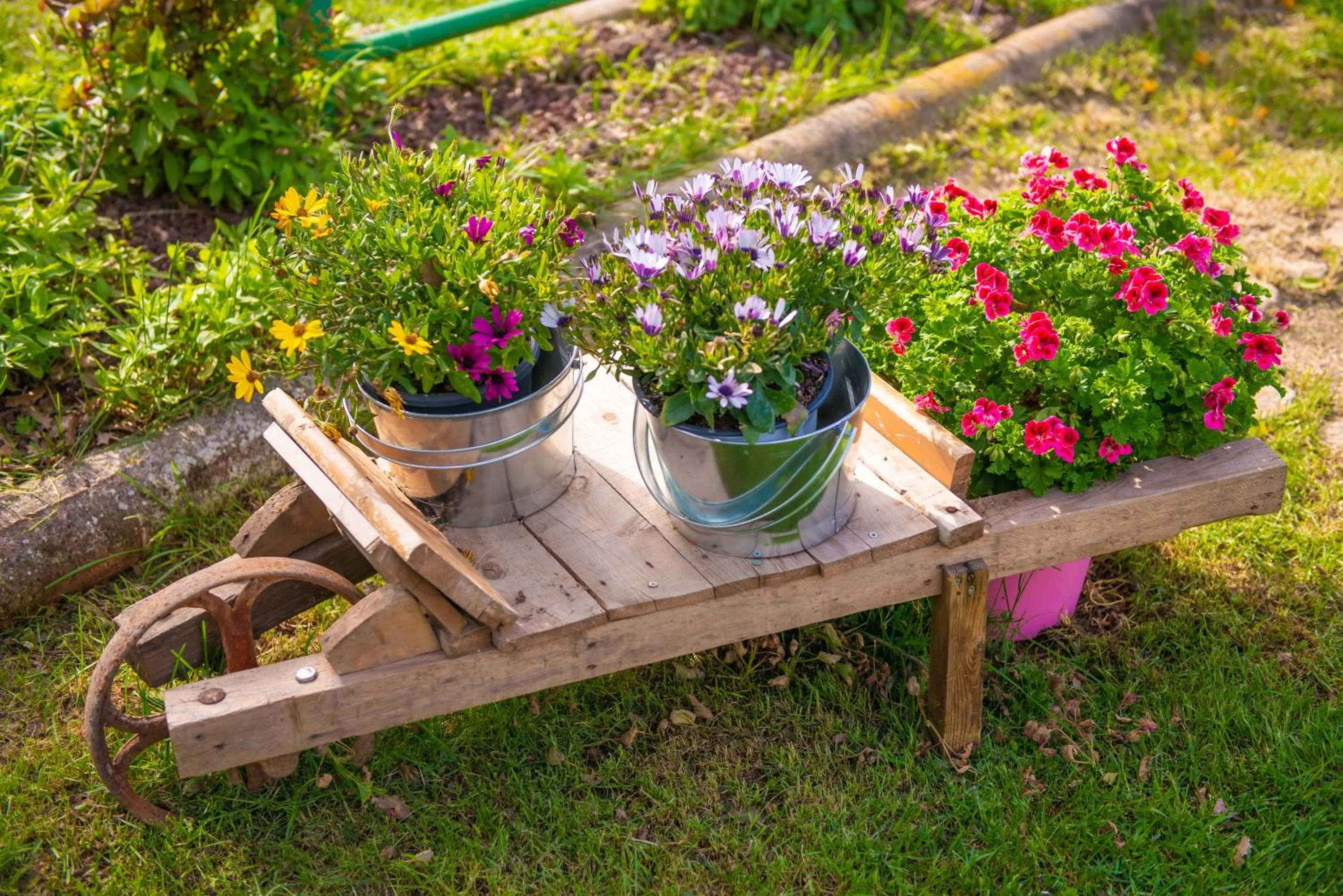 Complex Rural Can Caubet