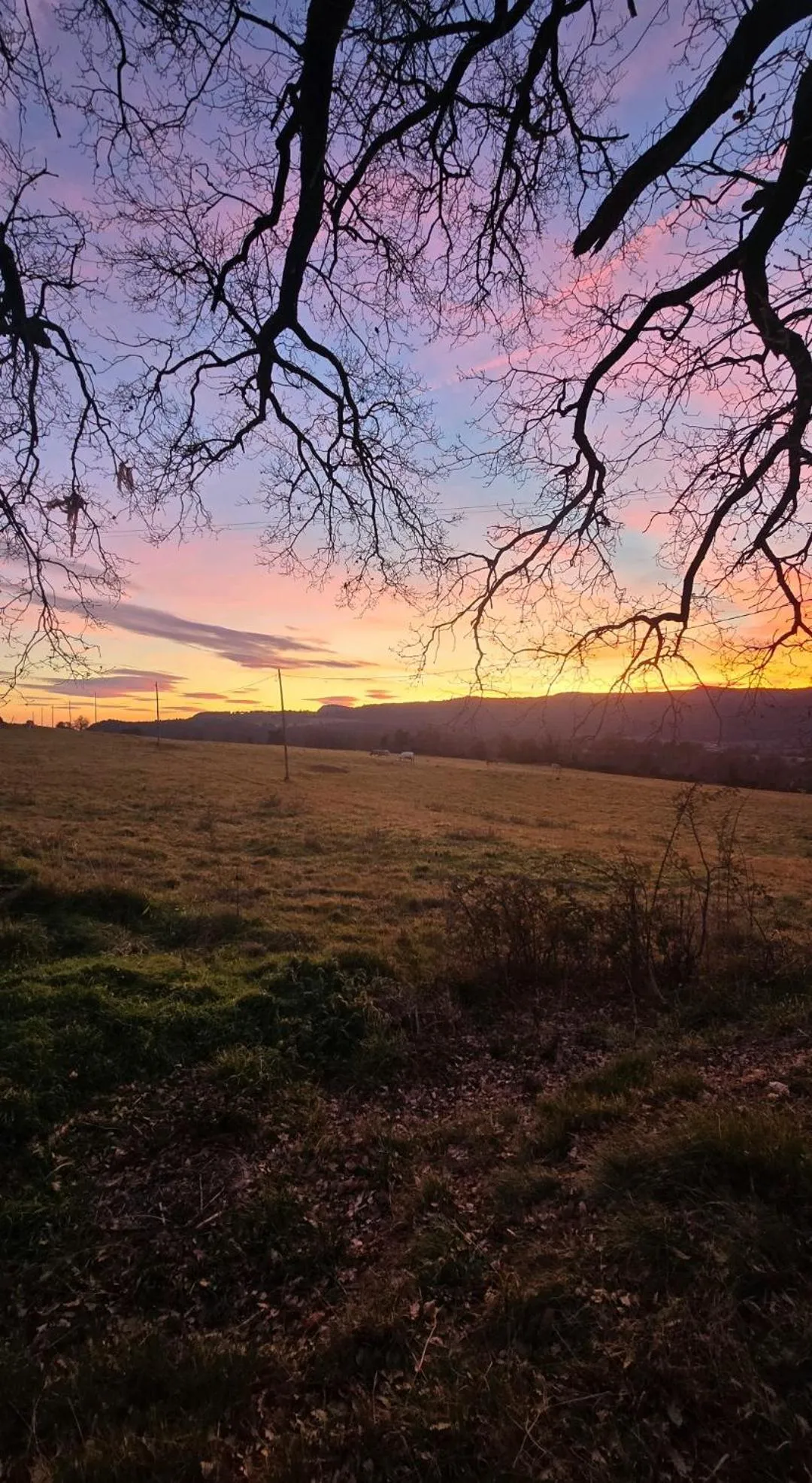 Complex Rural Can Caubet