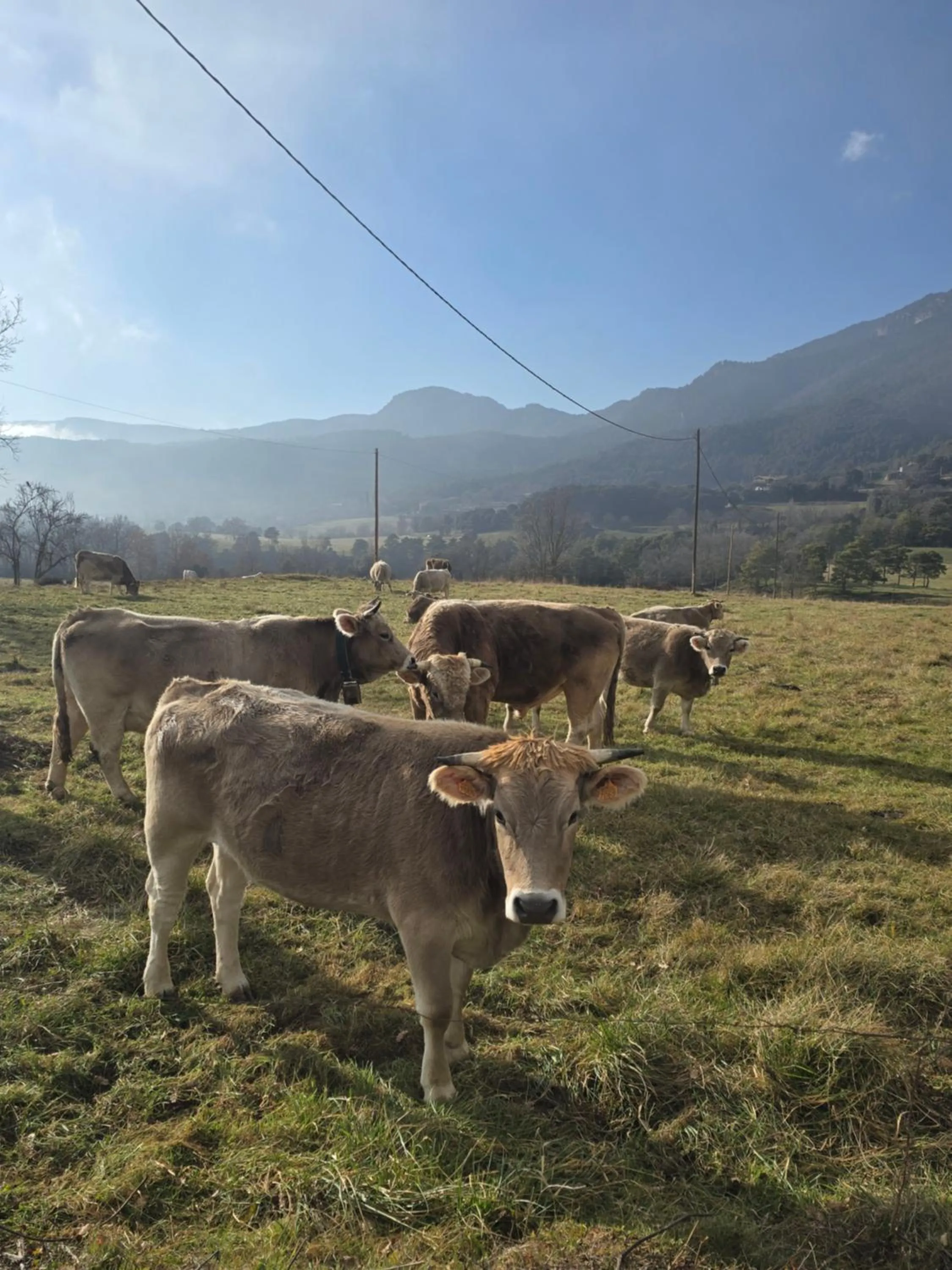 Complex Rural Can Caubet