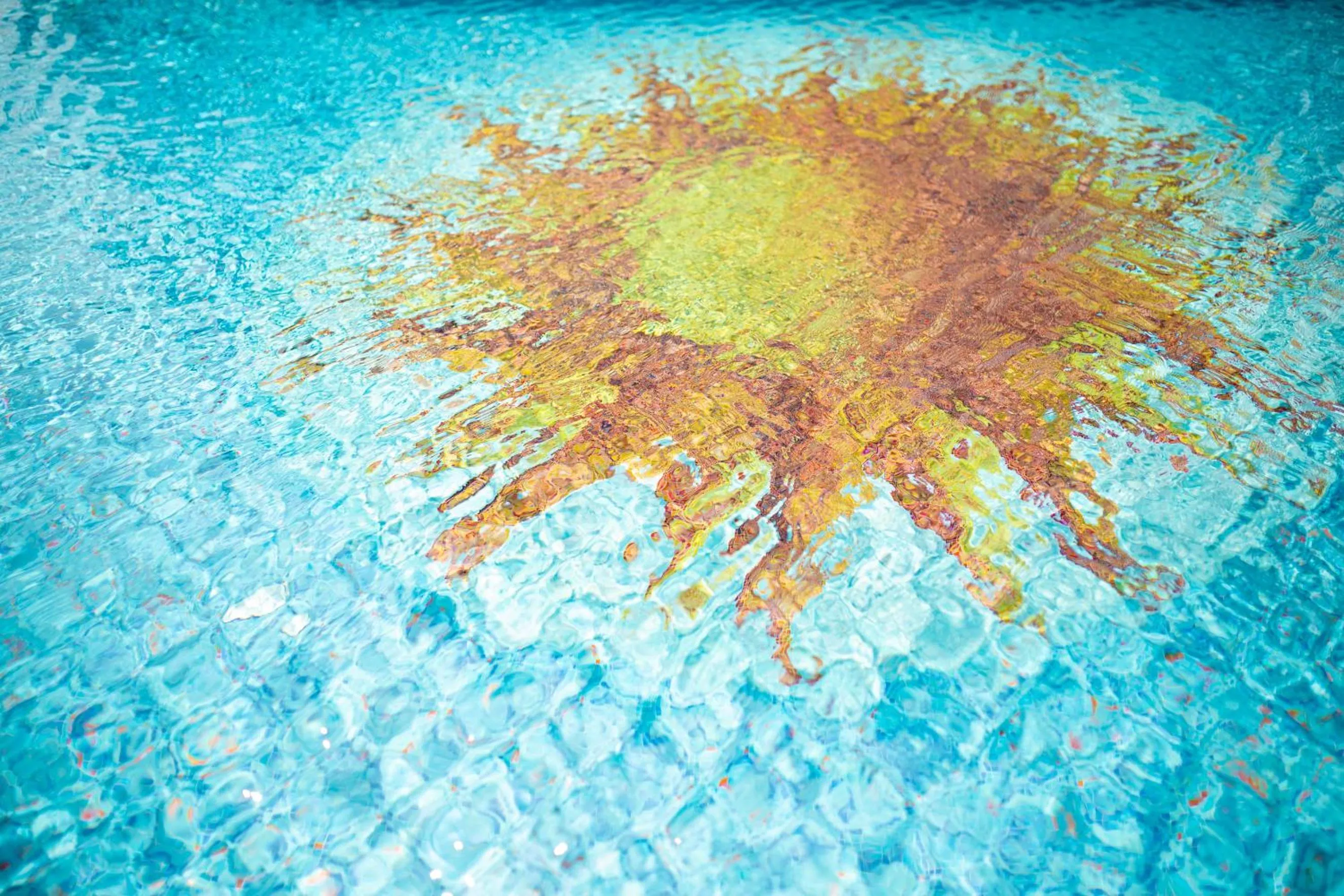 Swimming pool in Hotel Kennedy