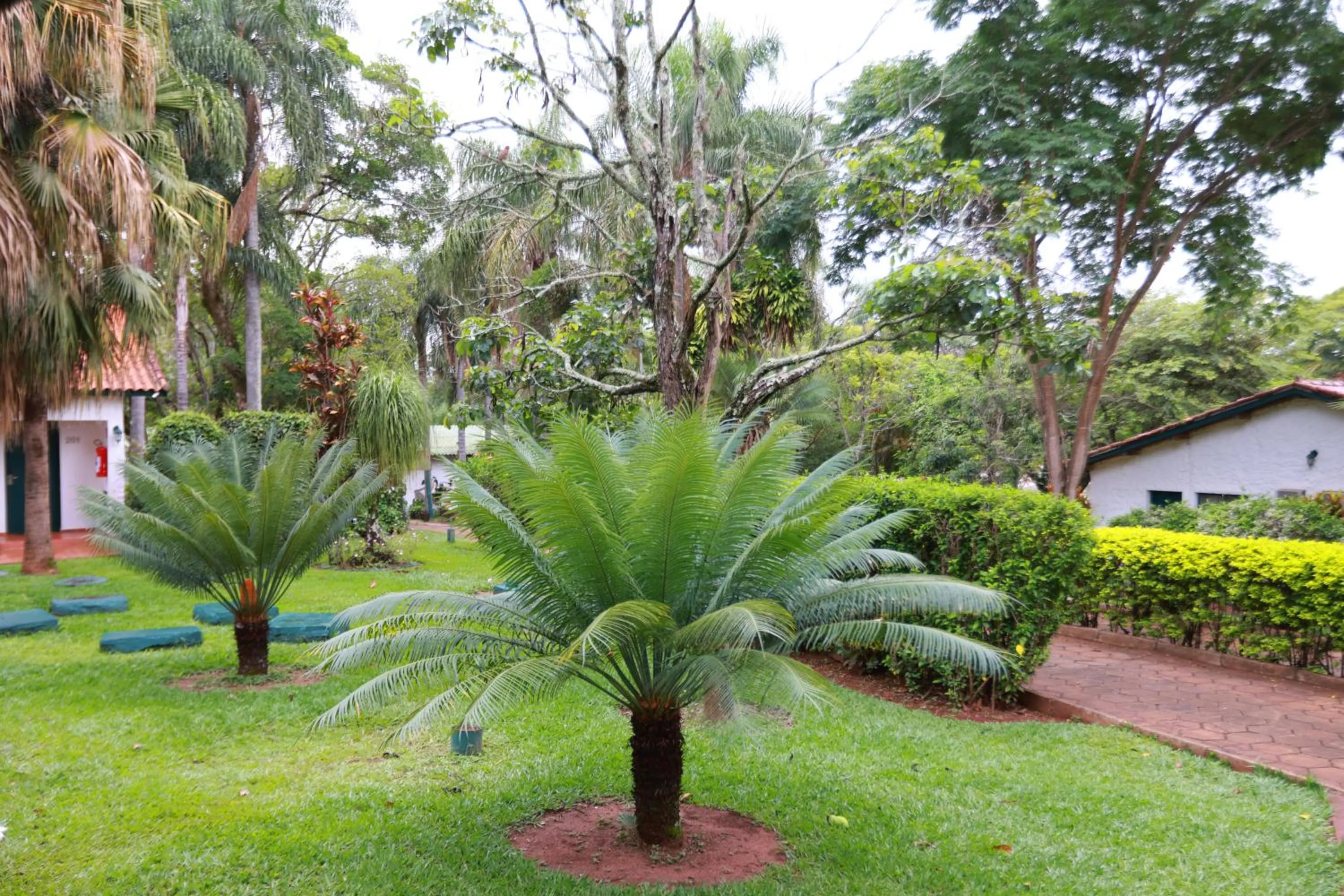 Day in Hotel Berro D`Agua Eco Resort