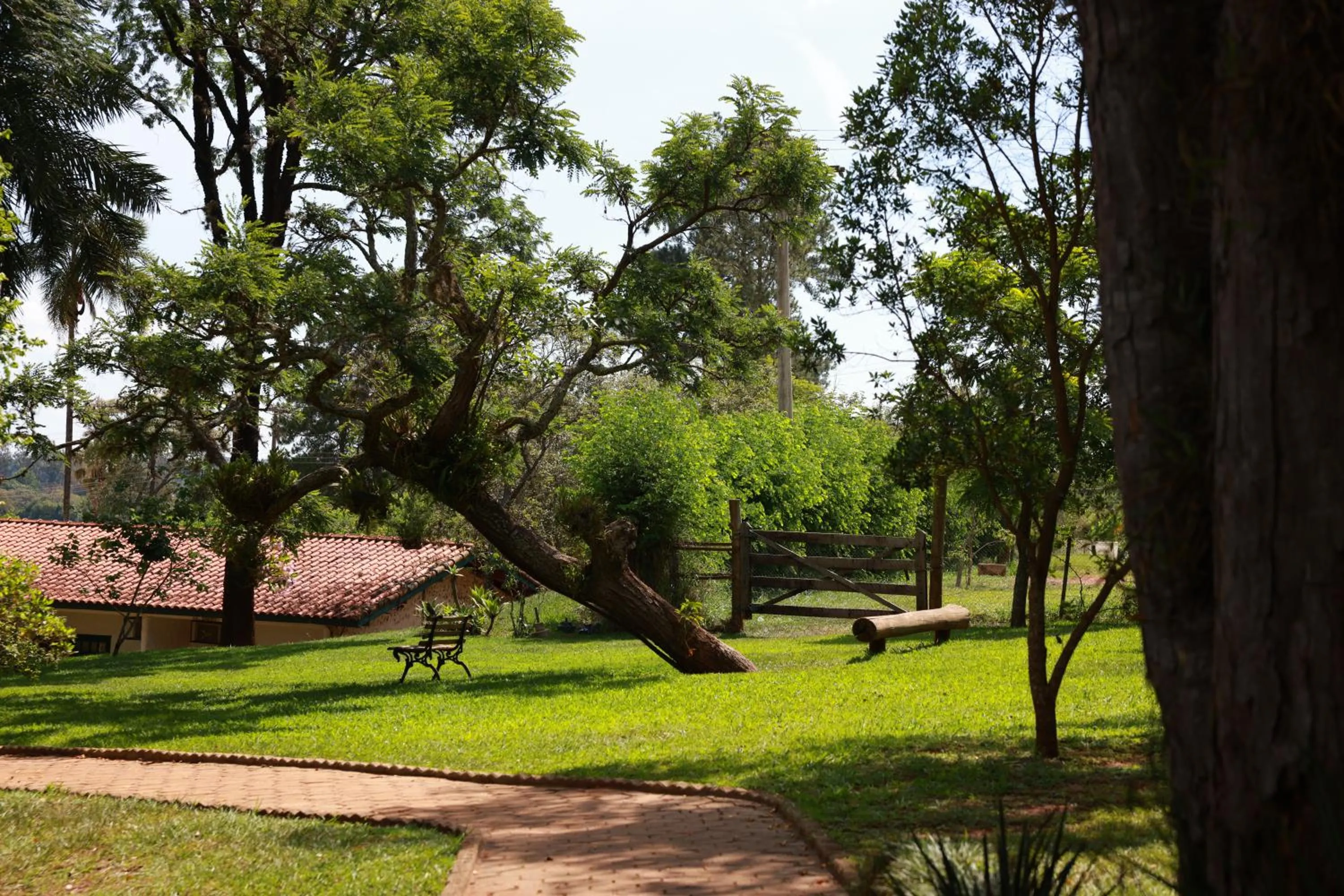 Day in Hotel Berro D`Agua Eco Resort