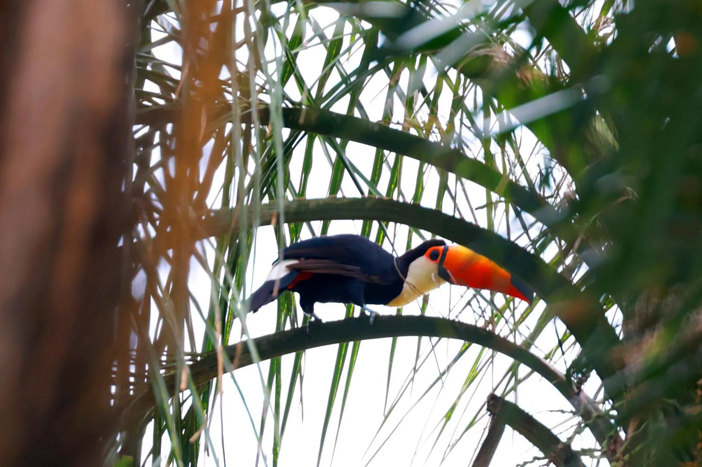 Day in Hotel Berro D`Agua Eco Resort