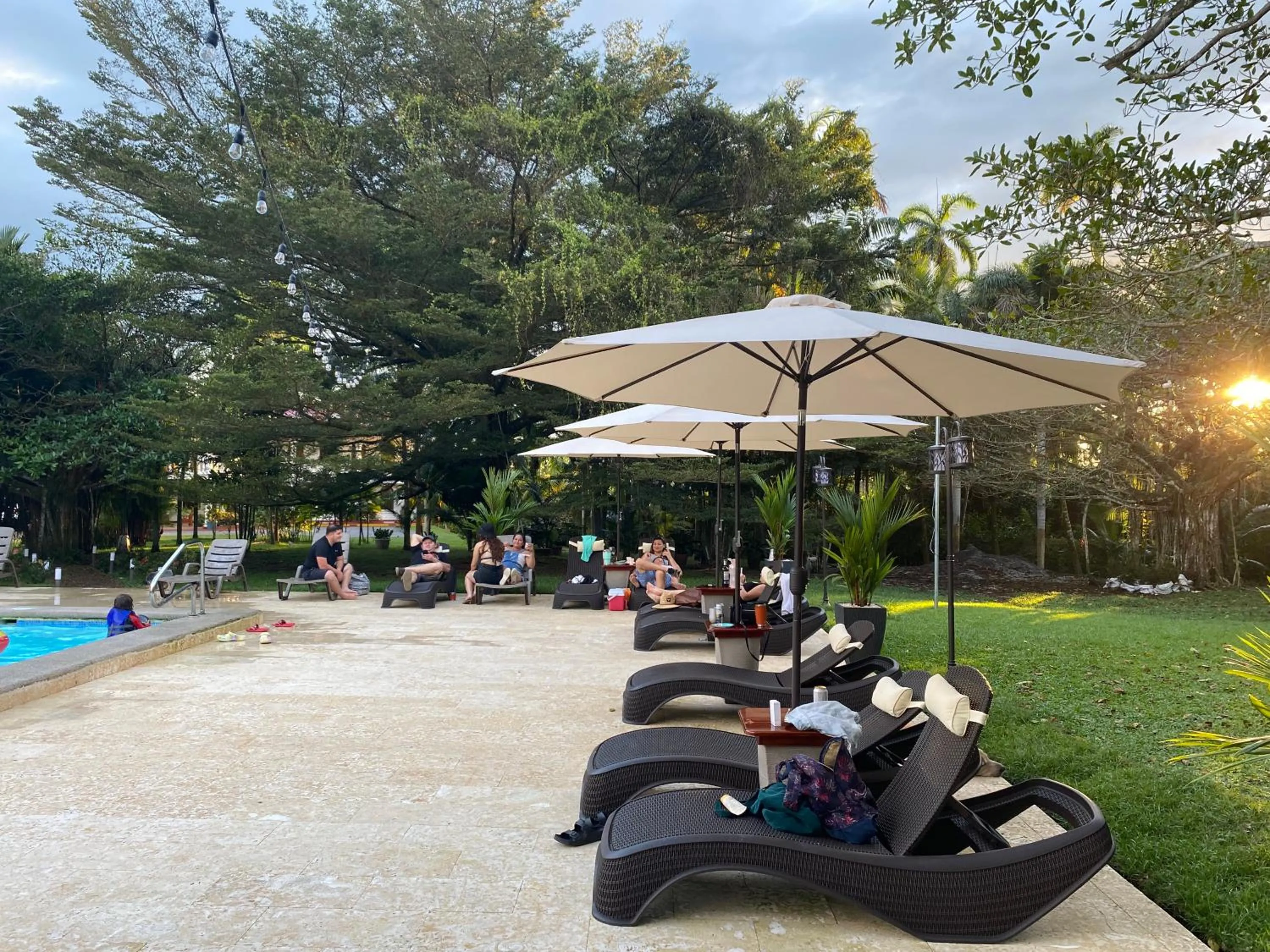 Garden in Hotel Los Higuerones