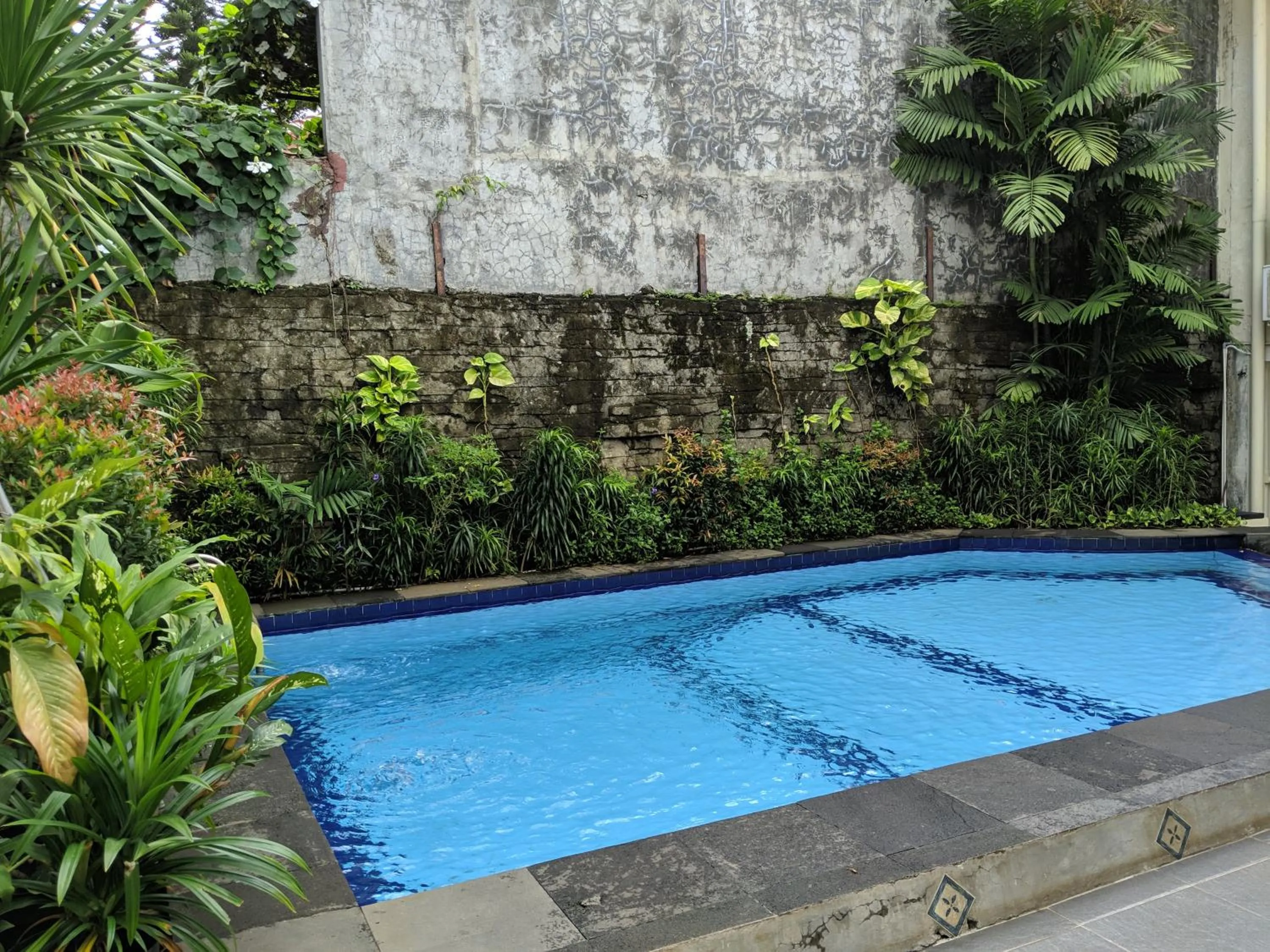 Swimming pool in My Home by FLAT06