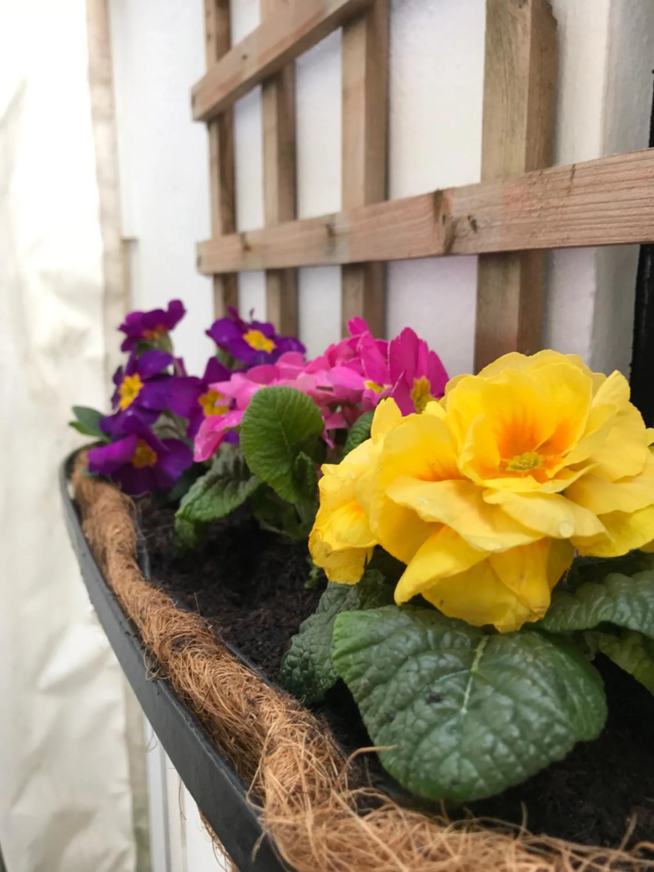 Facade/entrance in The Slipway B&B