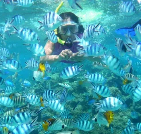 Guests in Ninamu Pearl Guest House