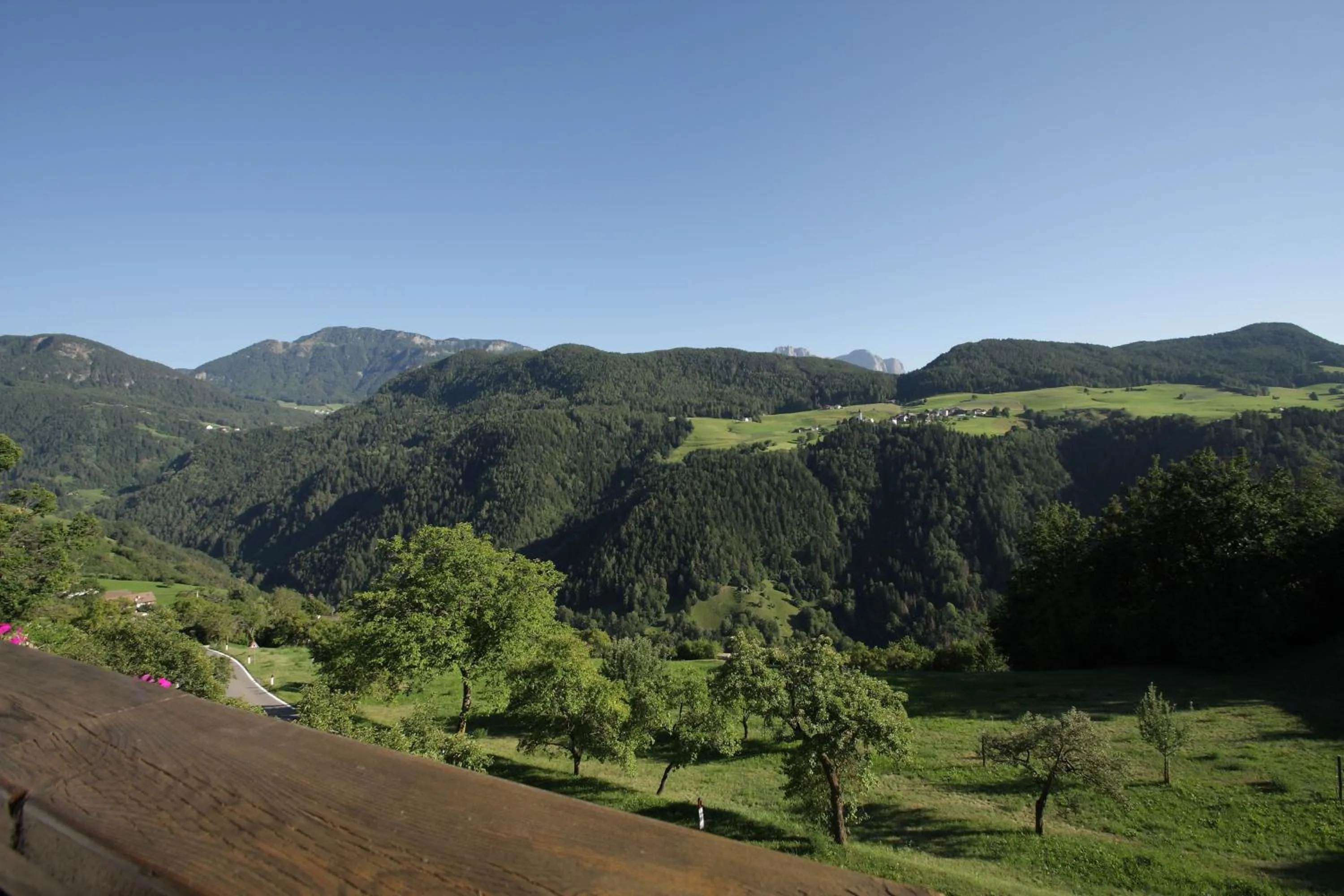 Mountain view in Paderlafoderhof