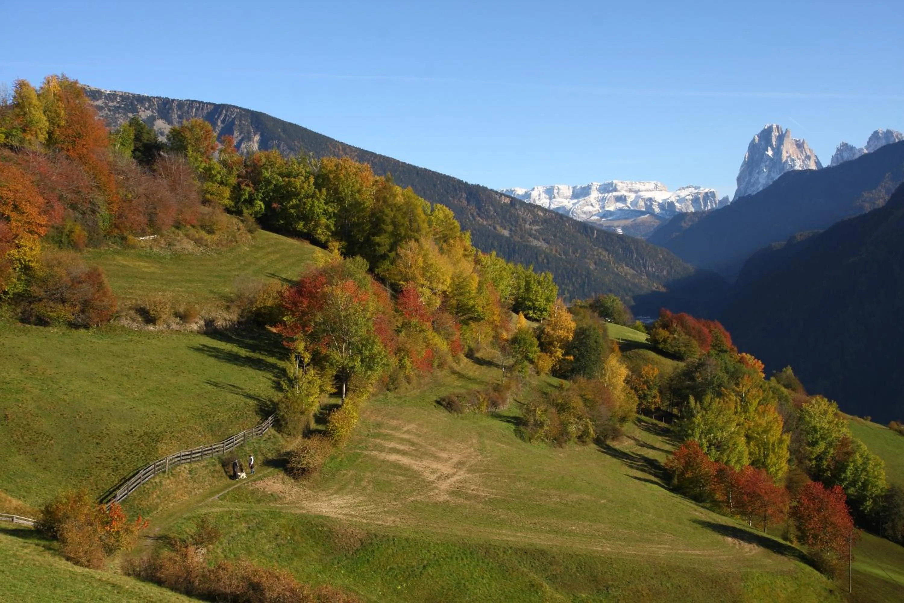 Natural landscape in Paderlafoderhof
