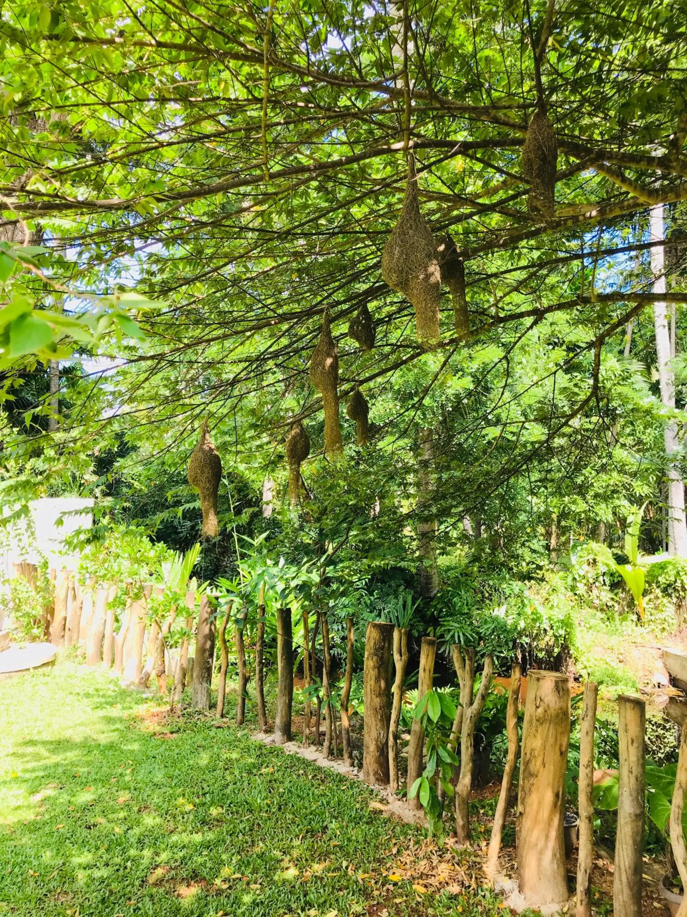 RUWINSONS Canal Garden
