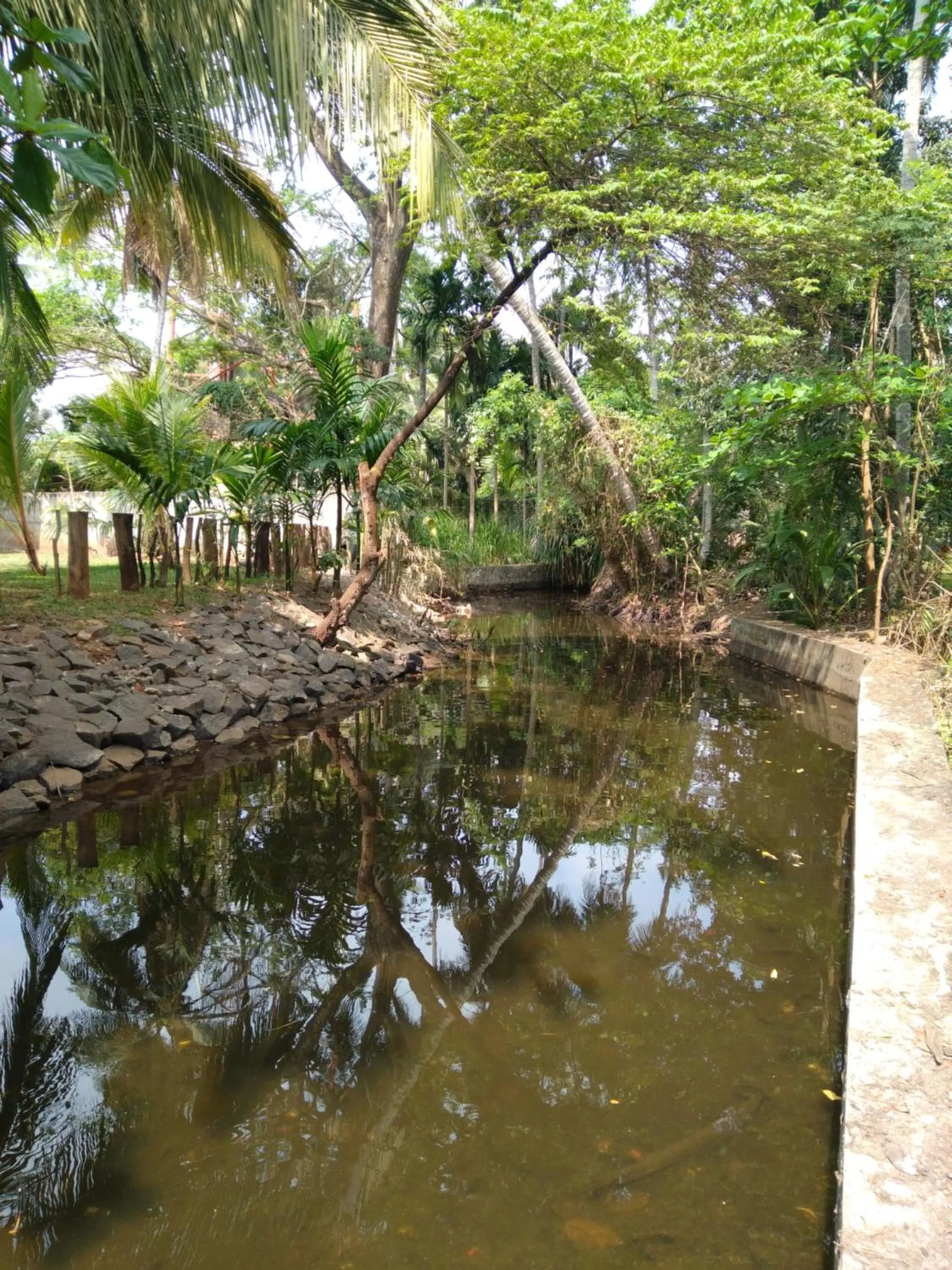 RUWINSONS Canal Garden