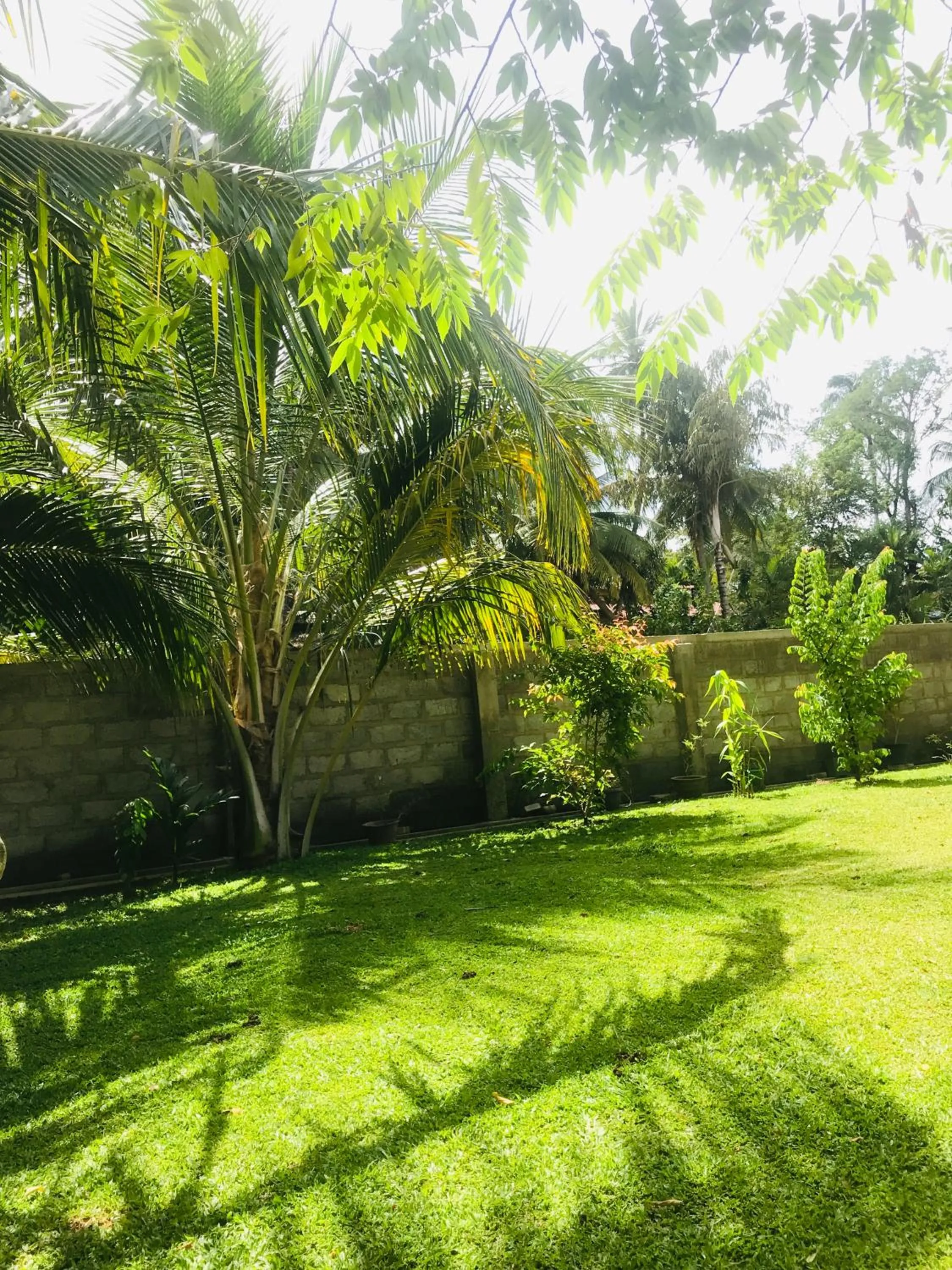 Garden in RUWINSONS Canal Garden