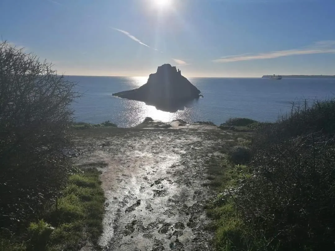 Activities in Trentham House