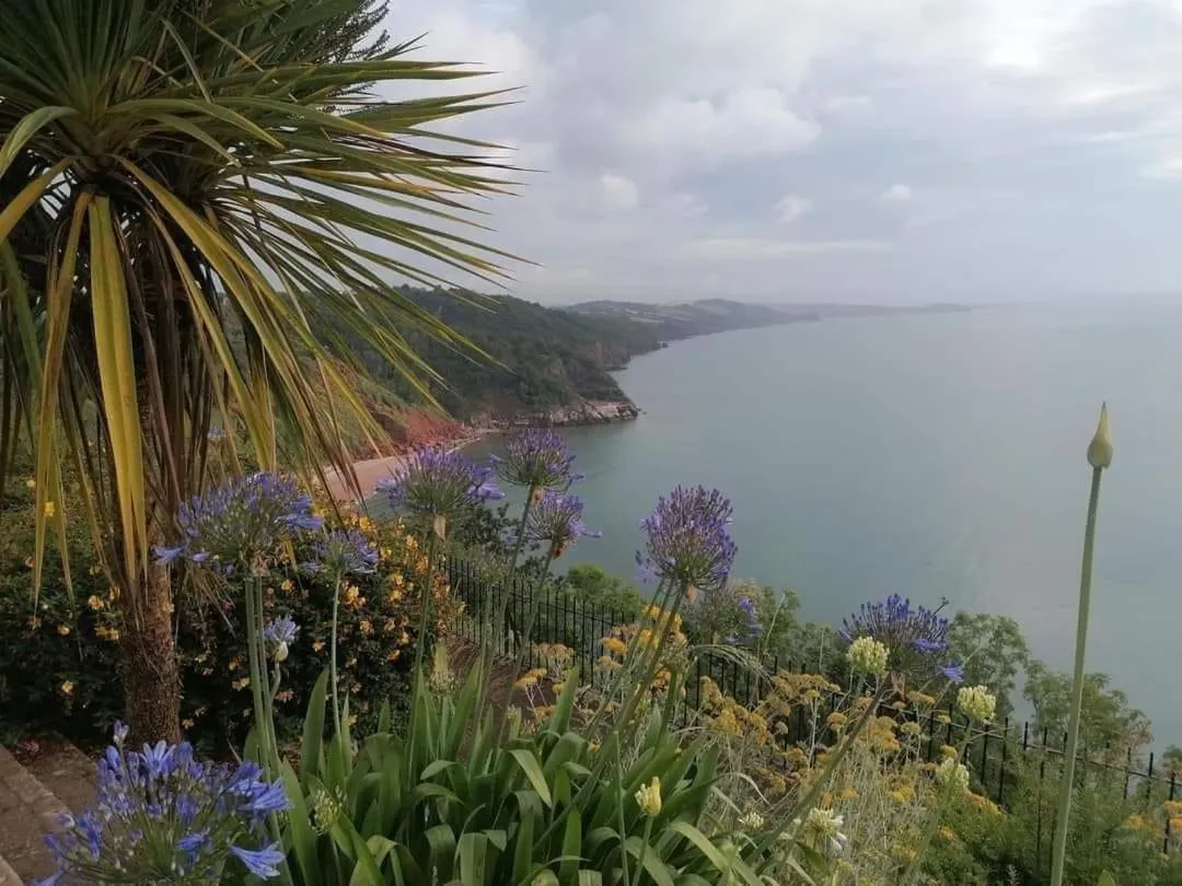 Activities in Trentham House