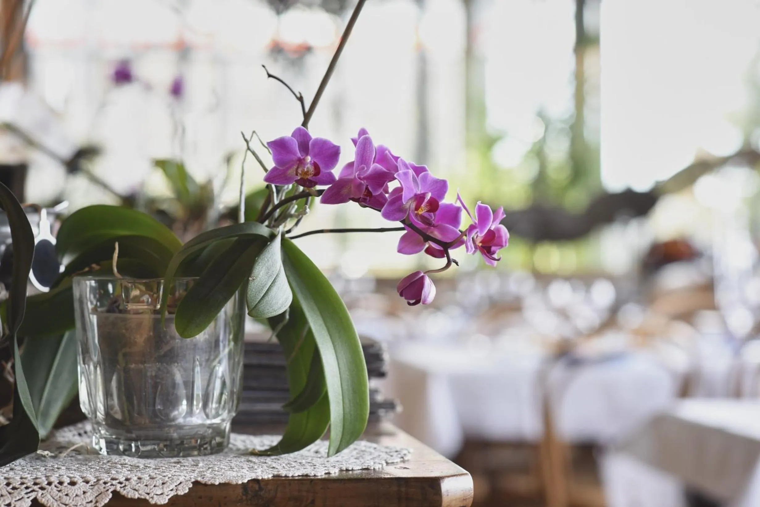 Day in Bellavista Boutique Hotel