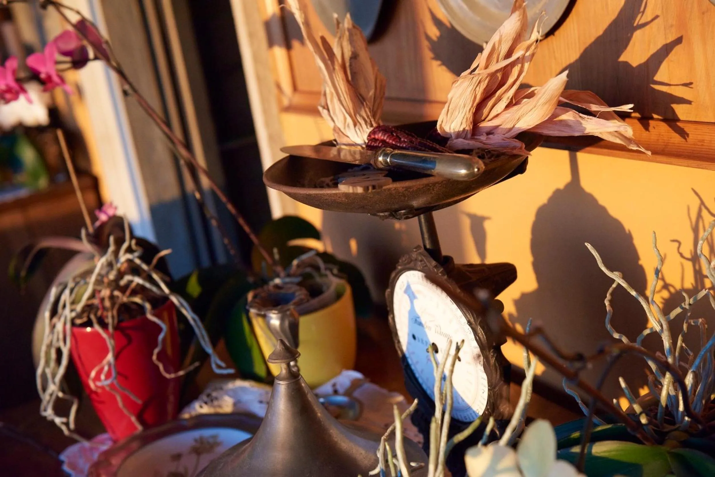 Area and facilities in Bellavista Boutique Hotel