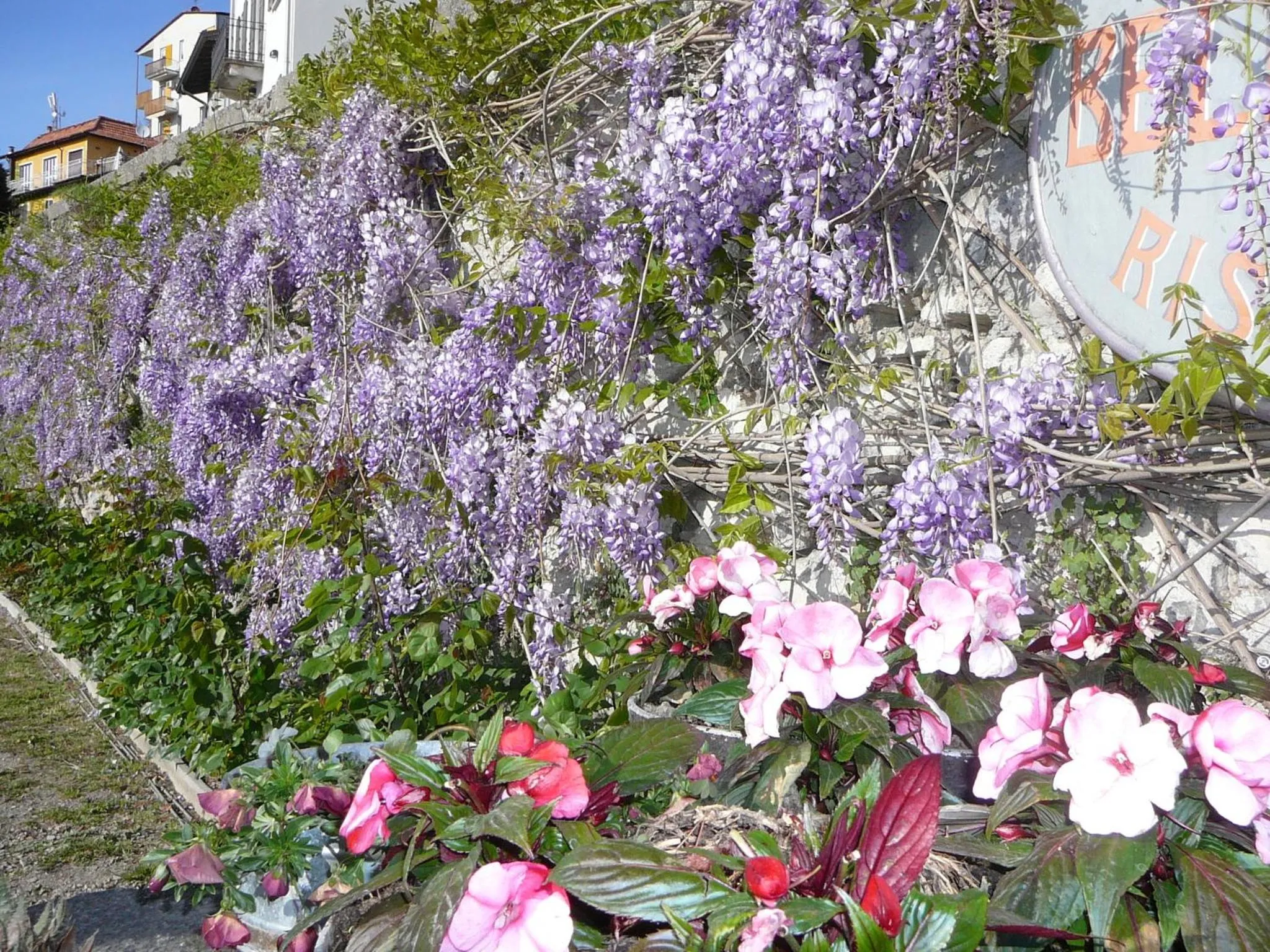 Spring in Bellavista Boutique Hotel