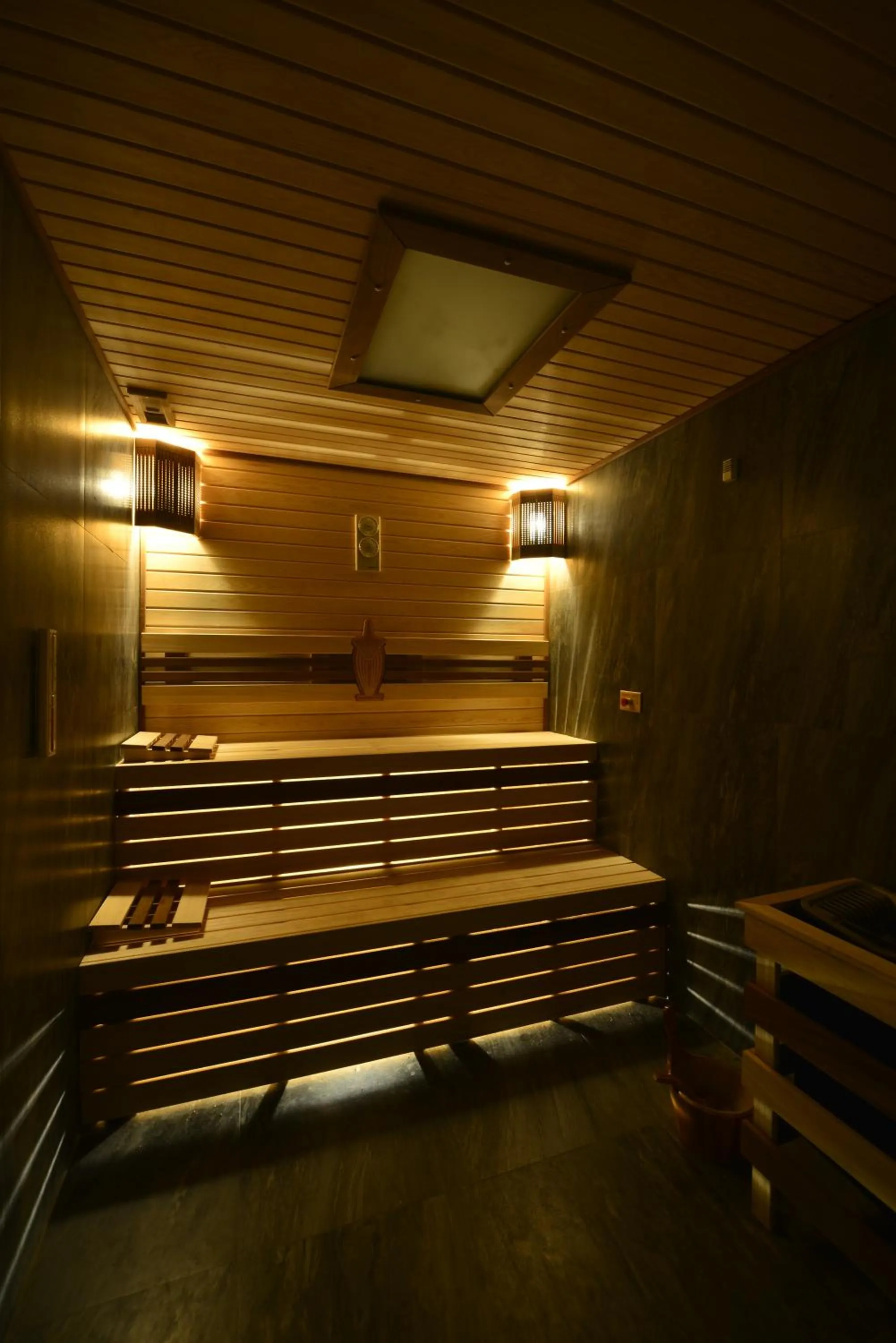 Sauna in Elite Luxury Suite & Spa