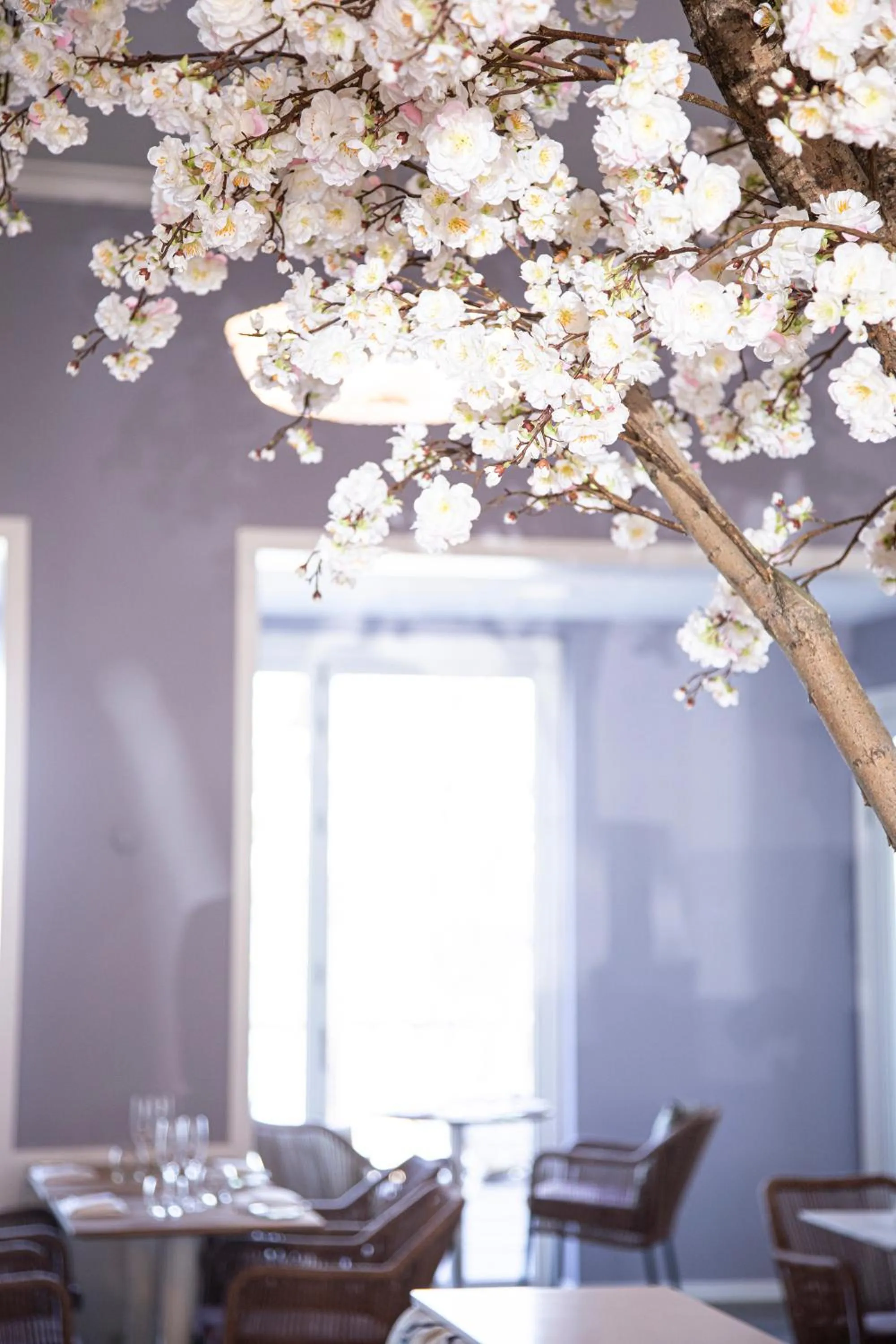 Restaurant/places to eat in Hotel Strandparken