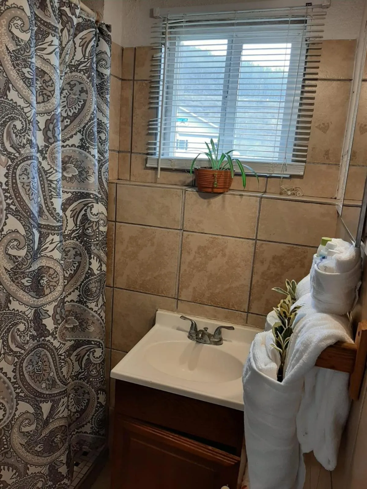 Bathroom in Clarysville Motel