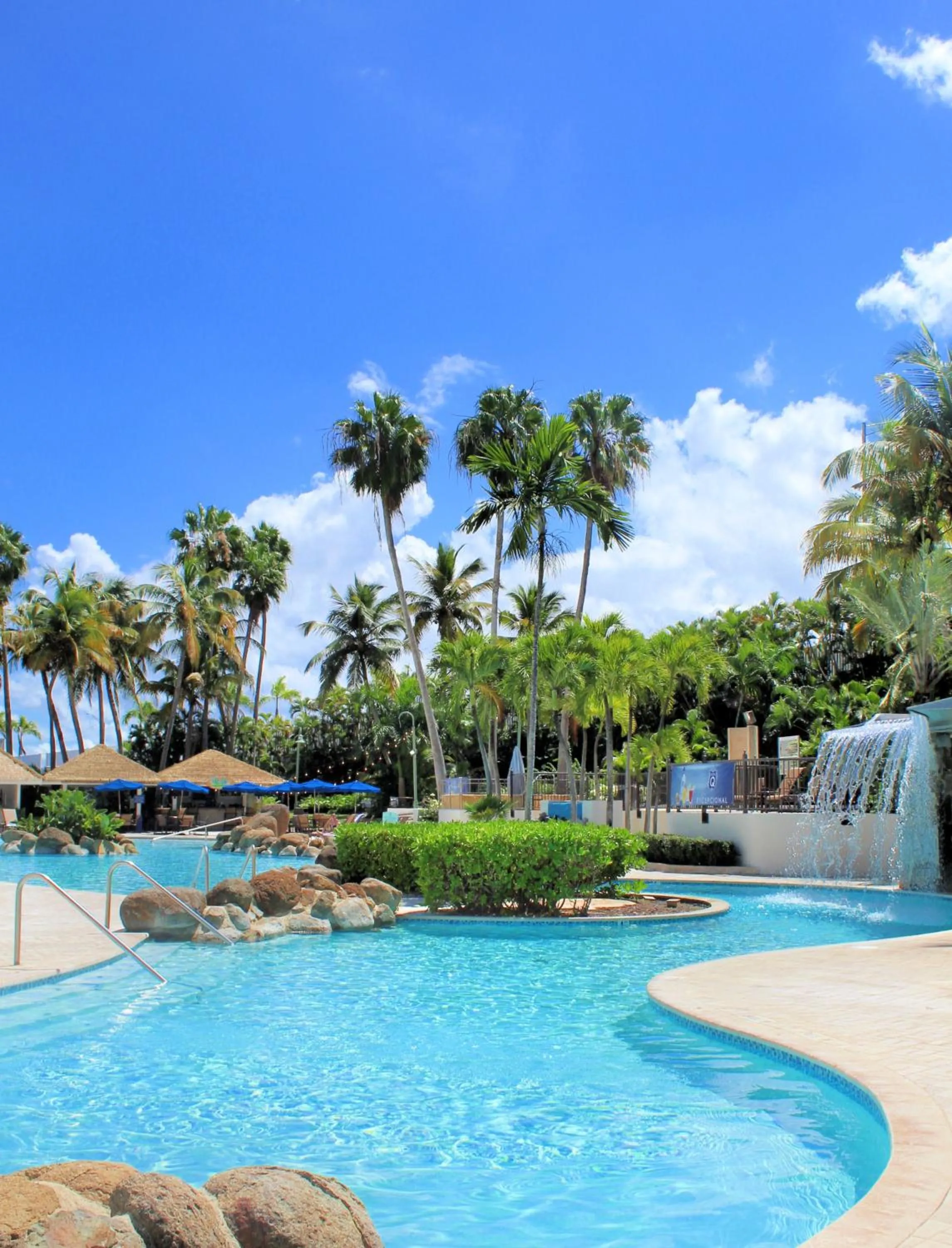 Natural landscape in Embassy Suites by Hilton San Juan - Hotel & Casino