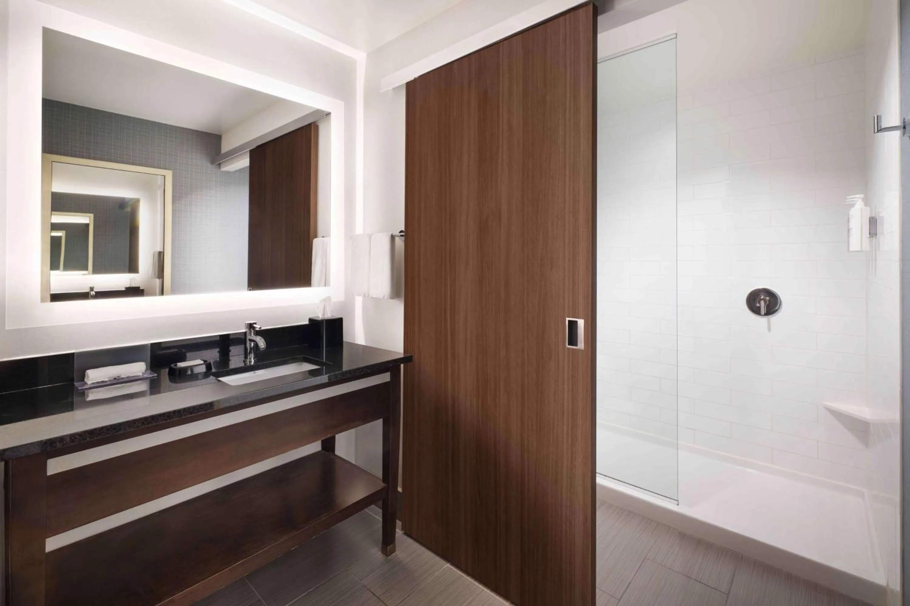 Bathroom in Hampton Inn & Suites Denver Downtown Convention Center