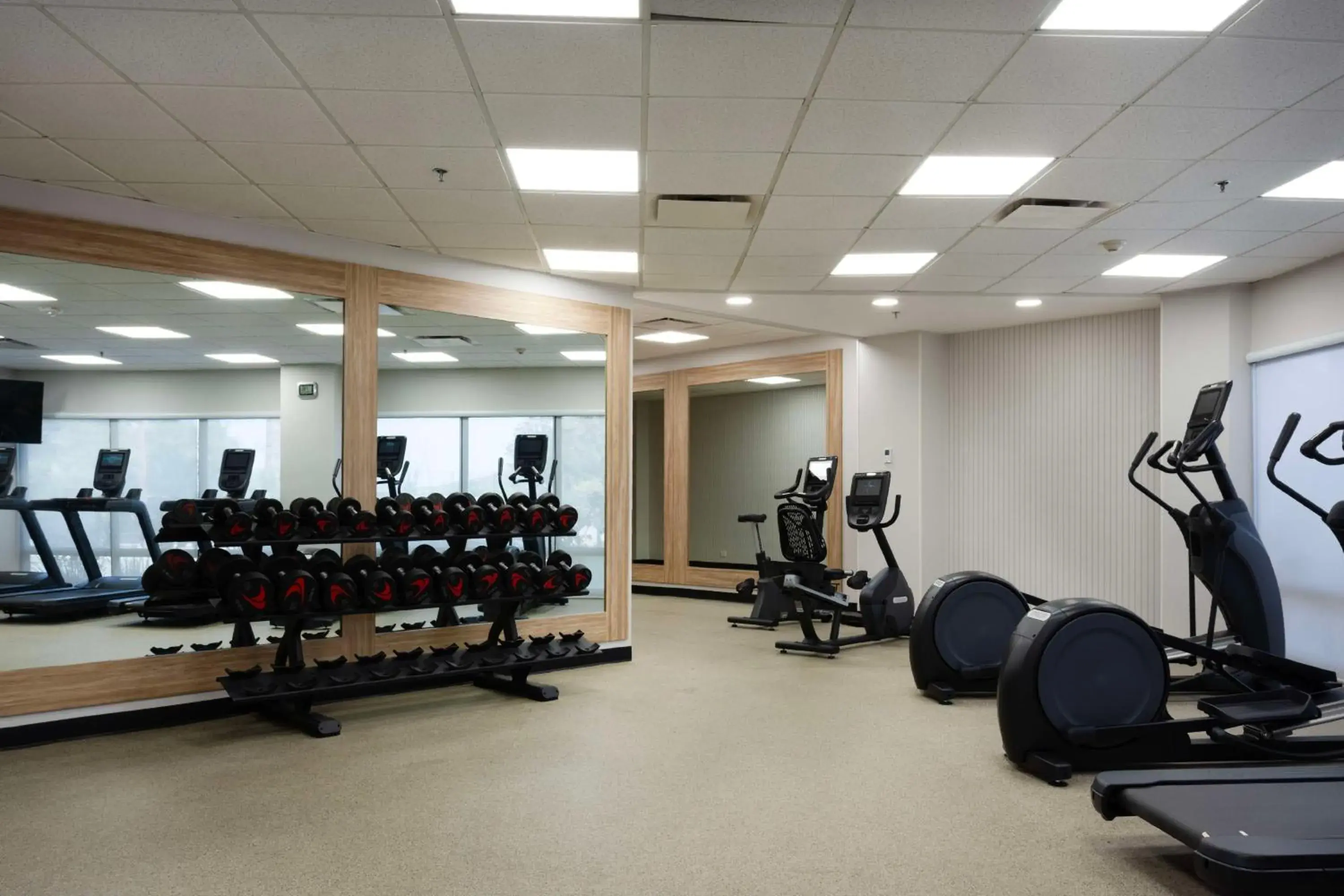 Fitness centre/facilities in Hampton by Hilton Saltillo Zona Aeropuerto Fitness centre/facilities in Hampton by Hilton Saltillo Zona Aeropuerto