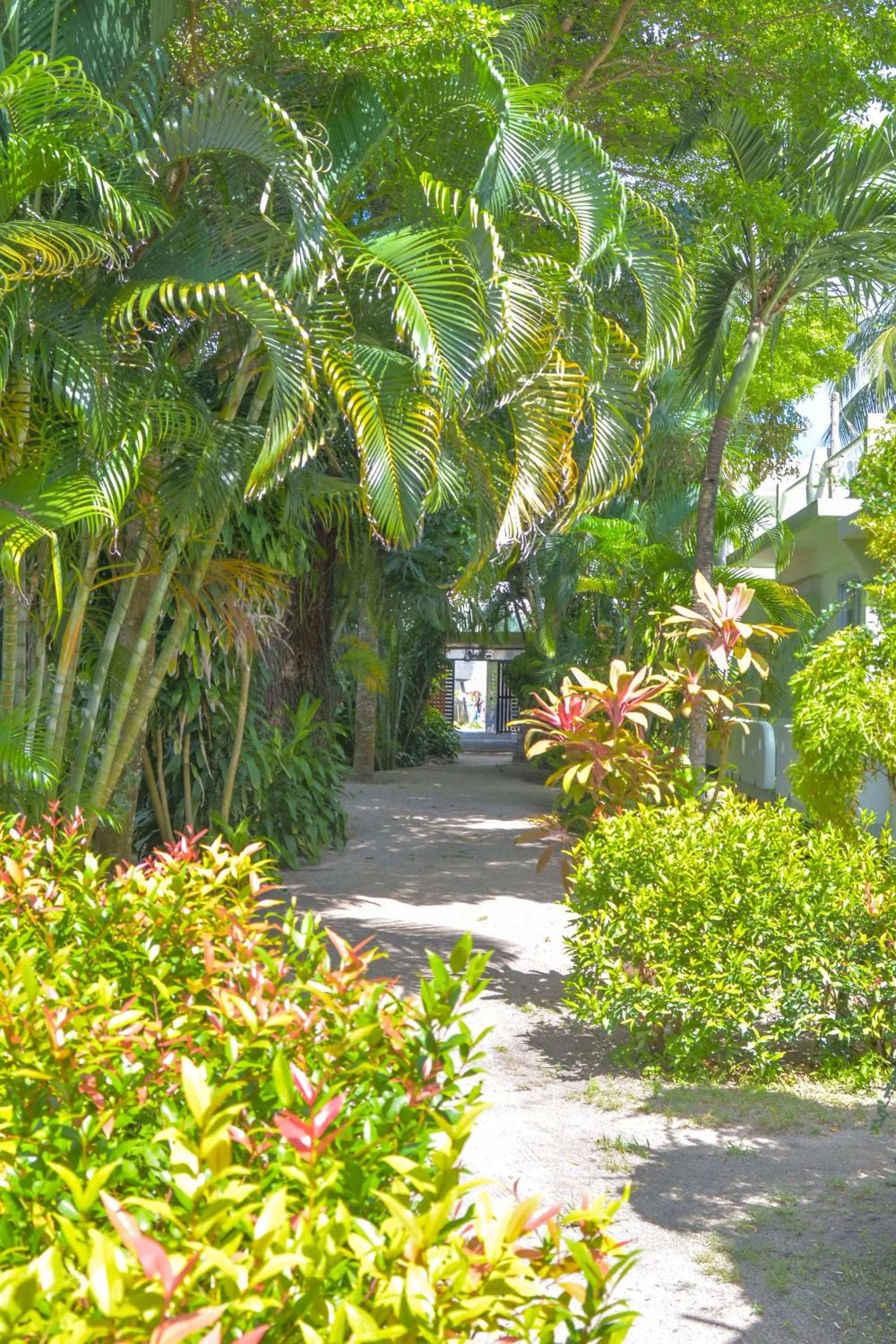 Le Divine Comedie Beach Resort