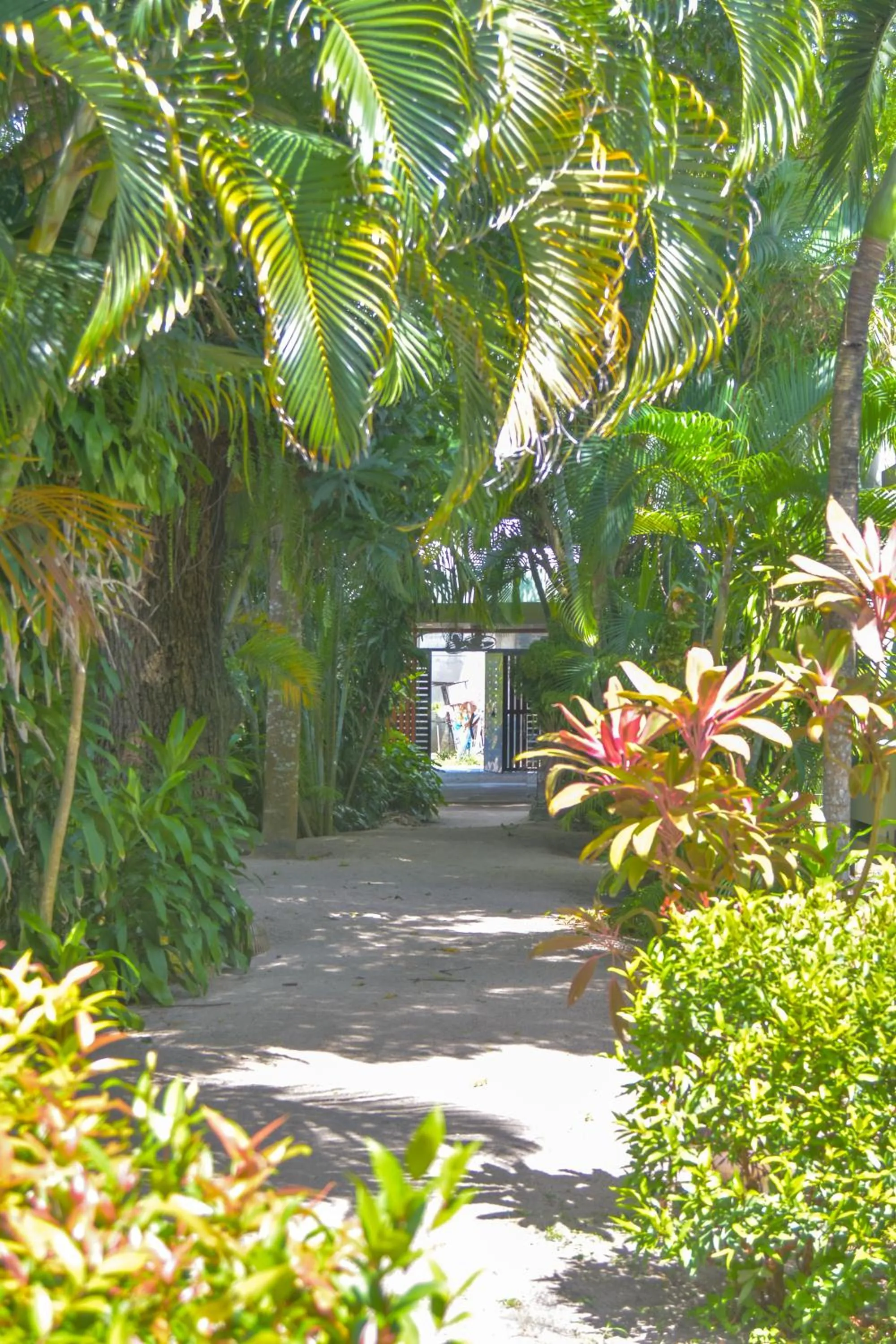 Le Divine Comedie Beach Resort