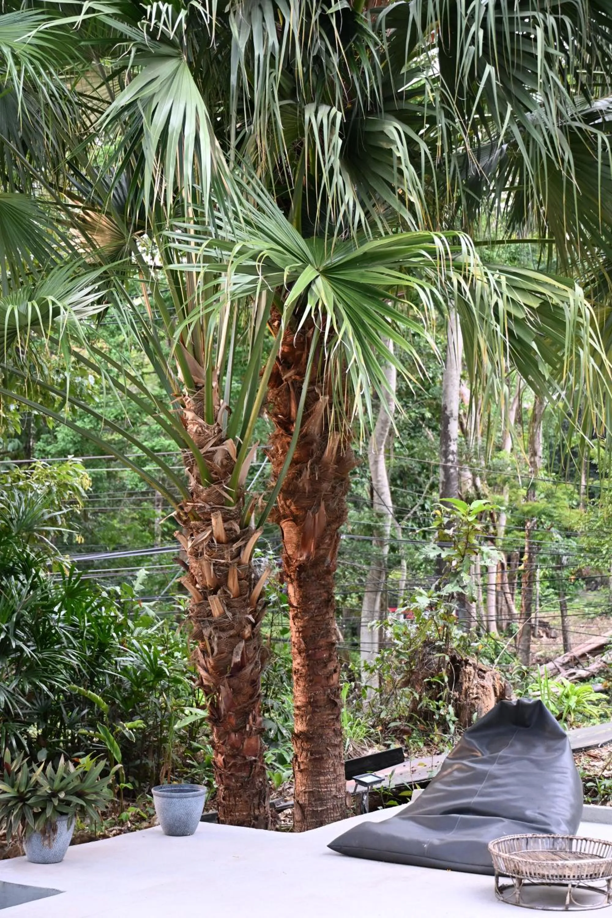 Swimming pool in Lazy Republique