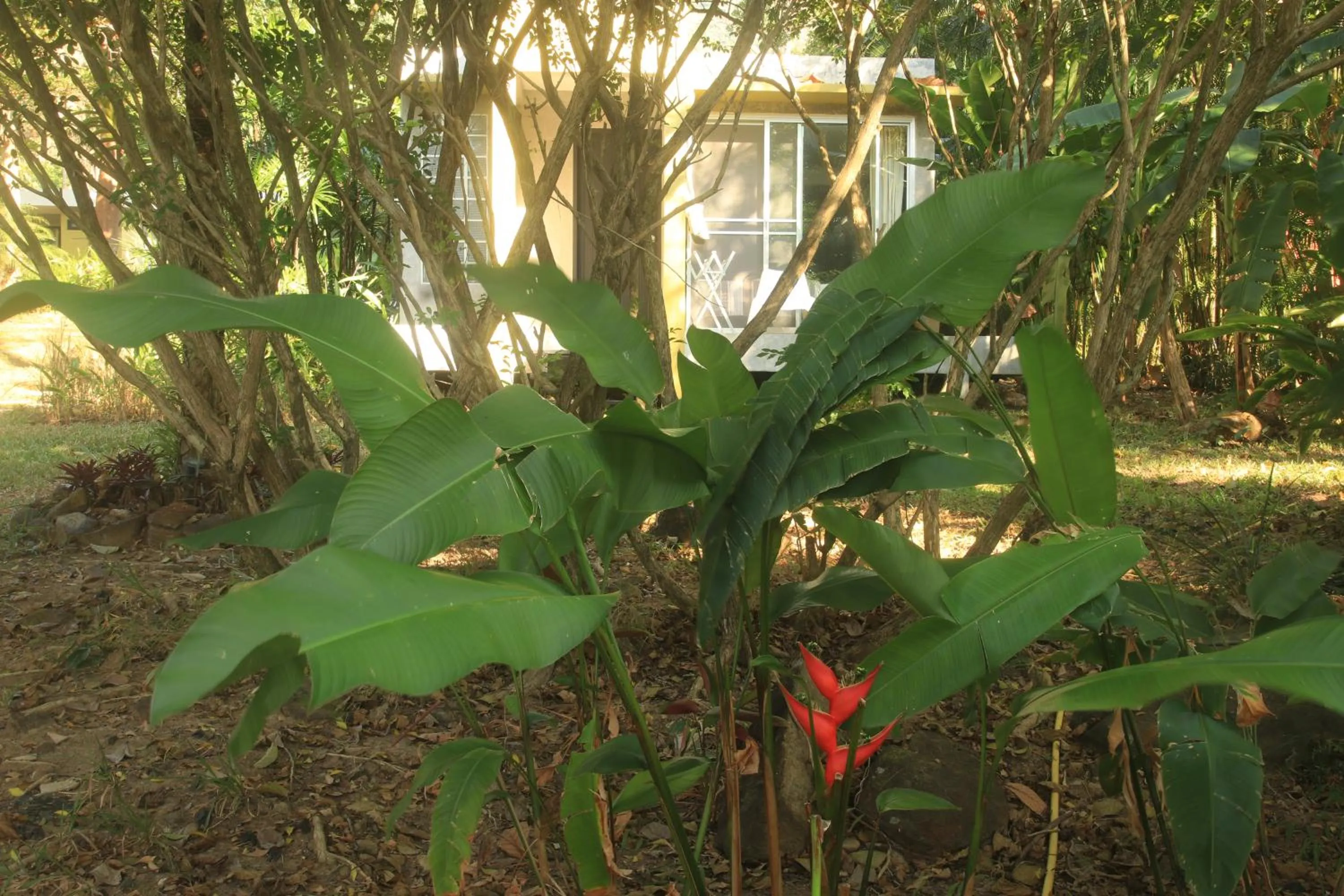 Bedroom in Lazy Republique