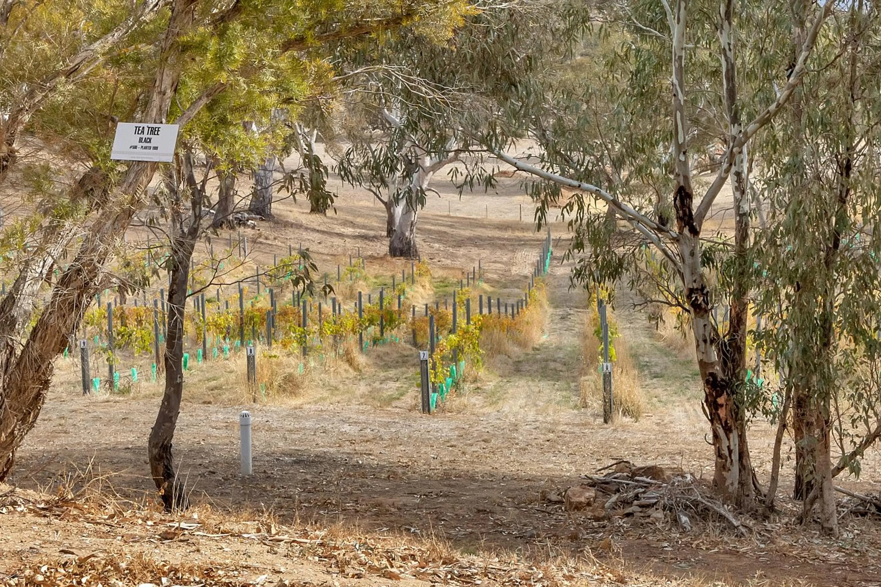 Garden in Lambert Estate Retreat