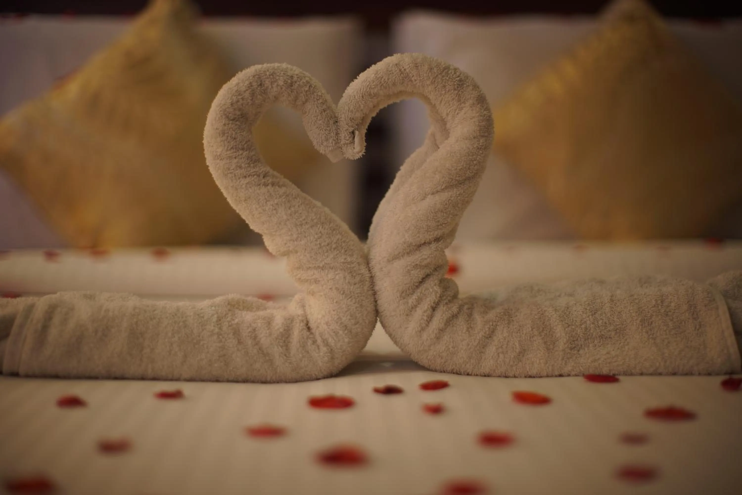 Decorative detail, Bed in Rajah Park Hotel by Hiverooms