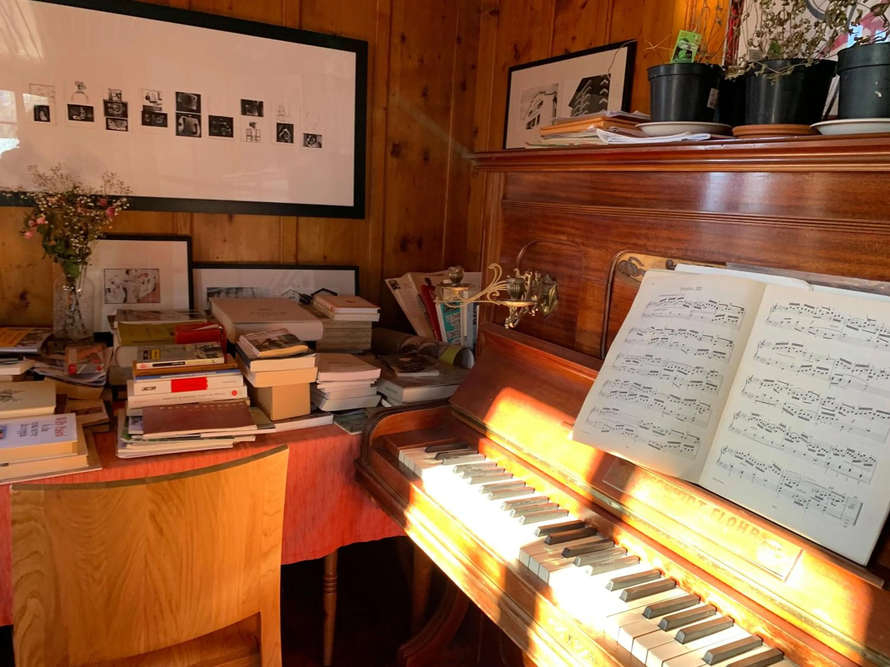 Decorative detail in Hotel les Touristes