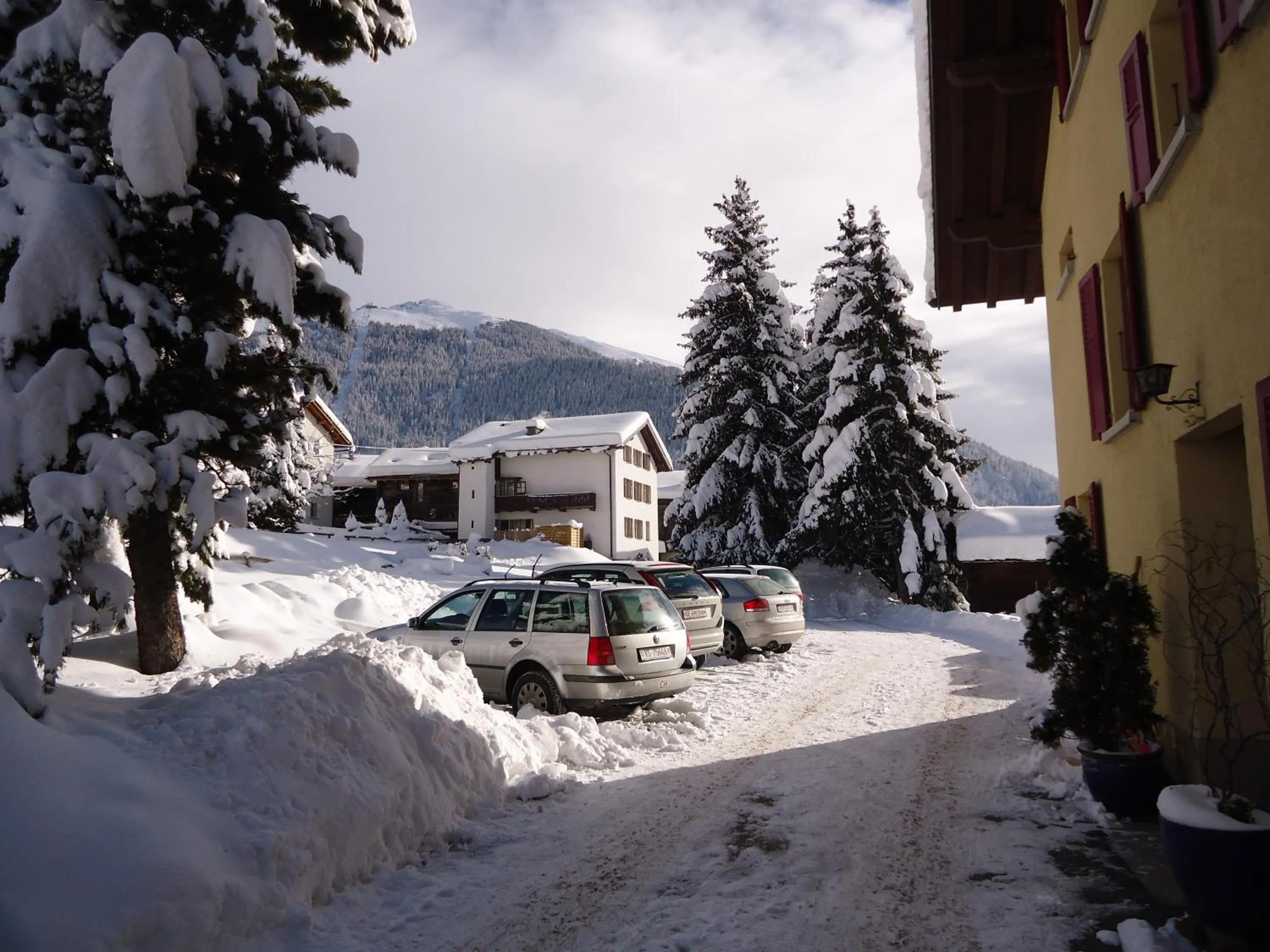 Area and facilities in Hotel les Touristes