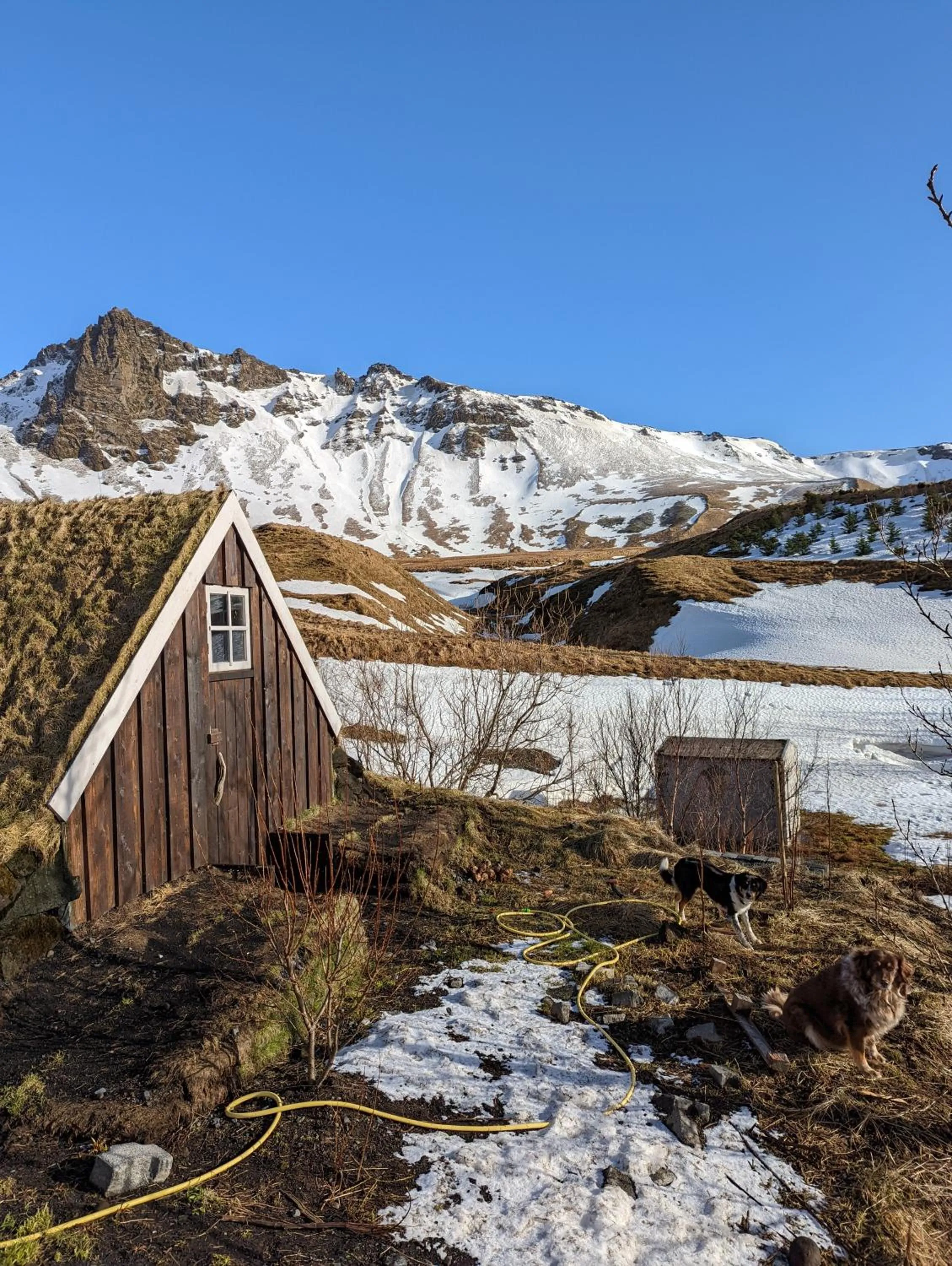 Day in Vík Hostel