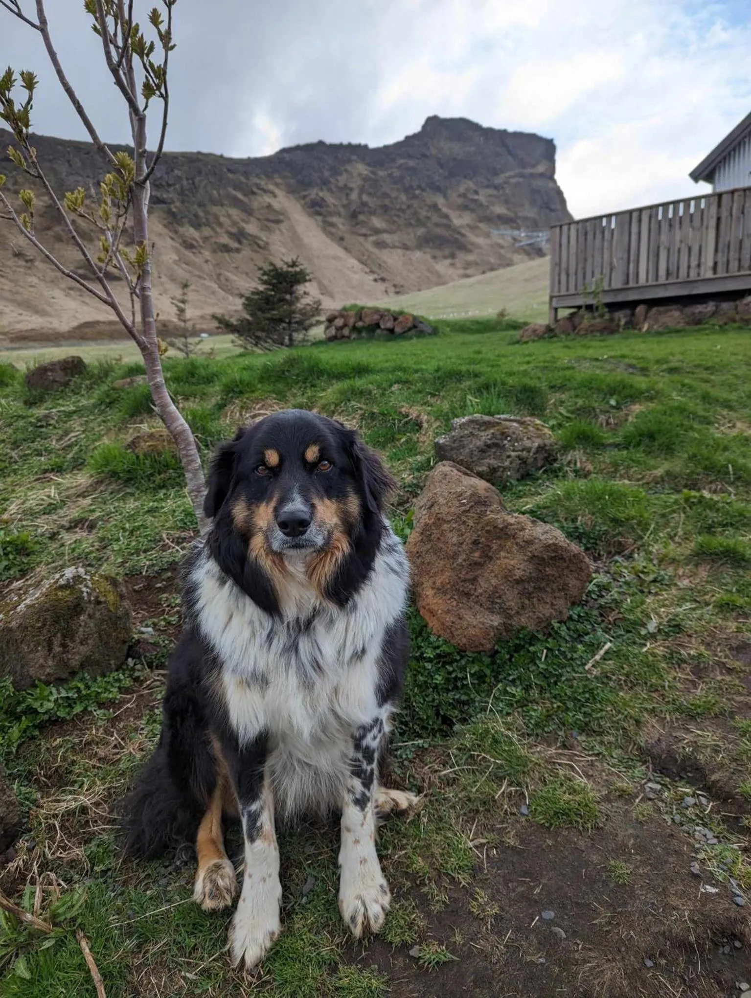Spring in Vík Hostel