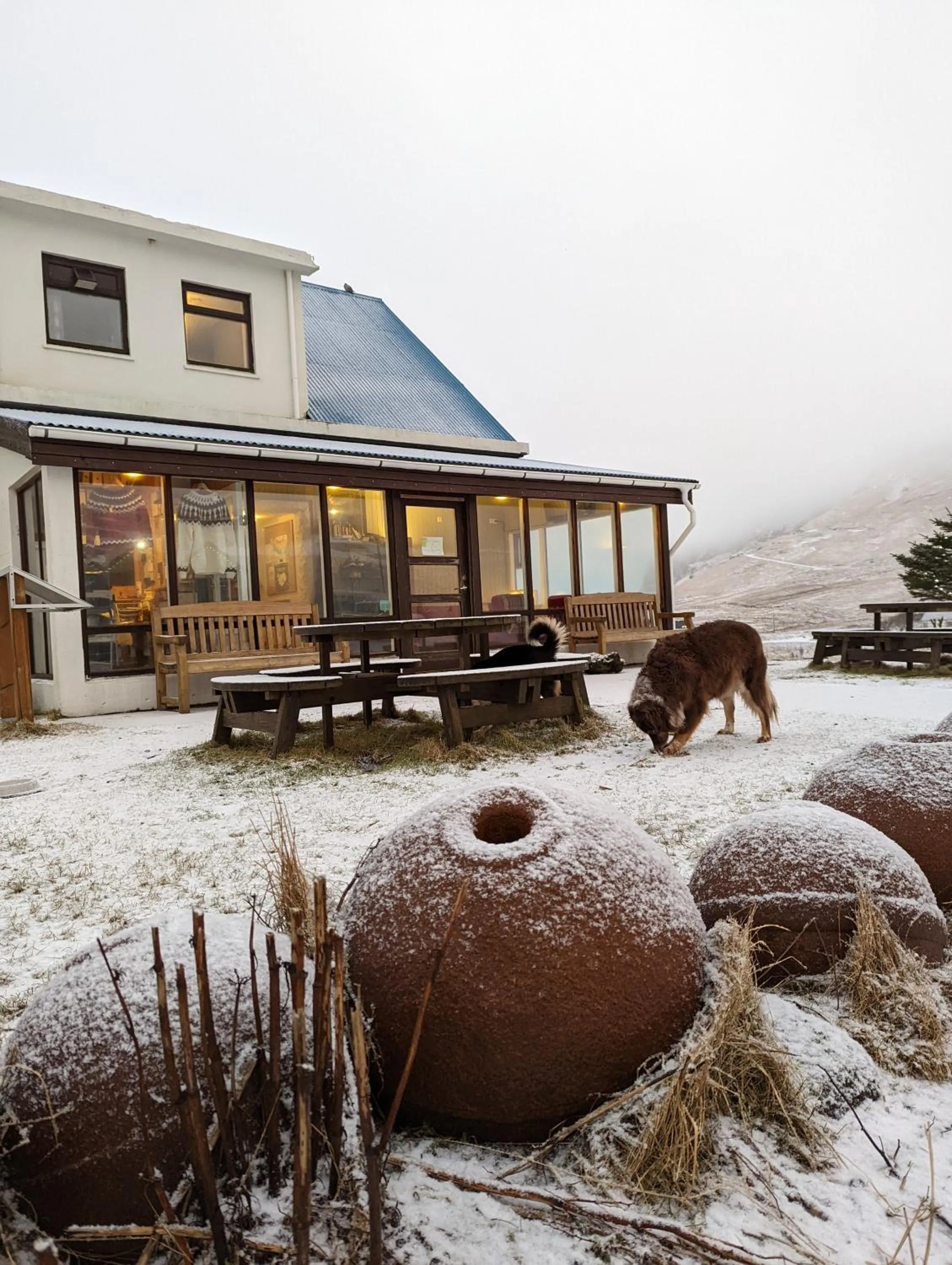 Property building in Vík Hostel