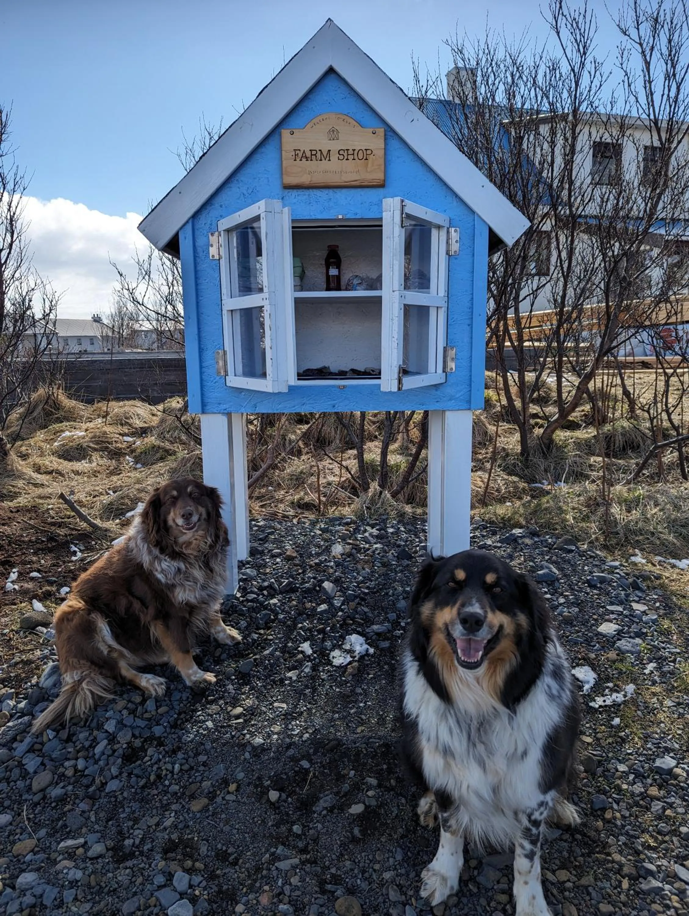 Day in Vík Hostel