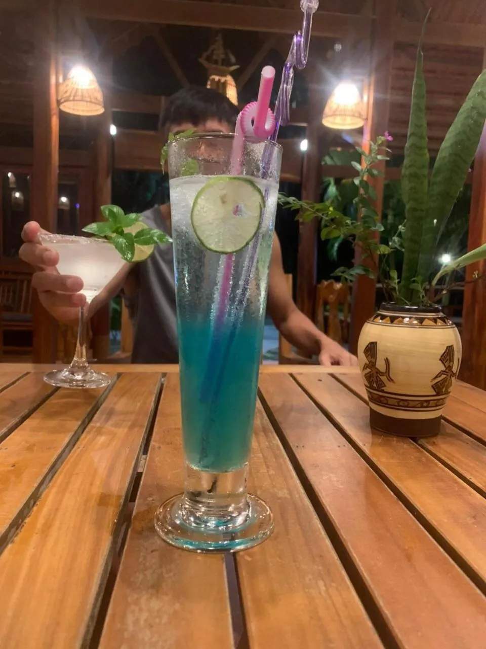 Lounge or bar in Island Lodge